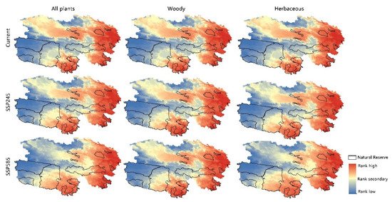 Distribution and Conservation of Plants in the Northeastern