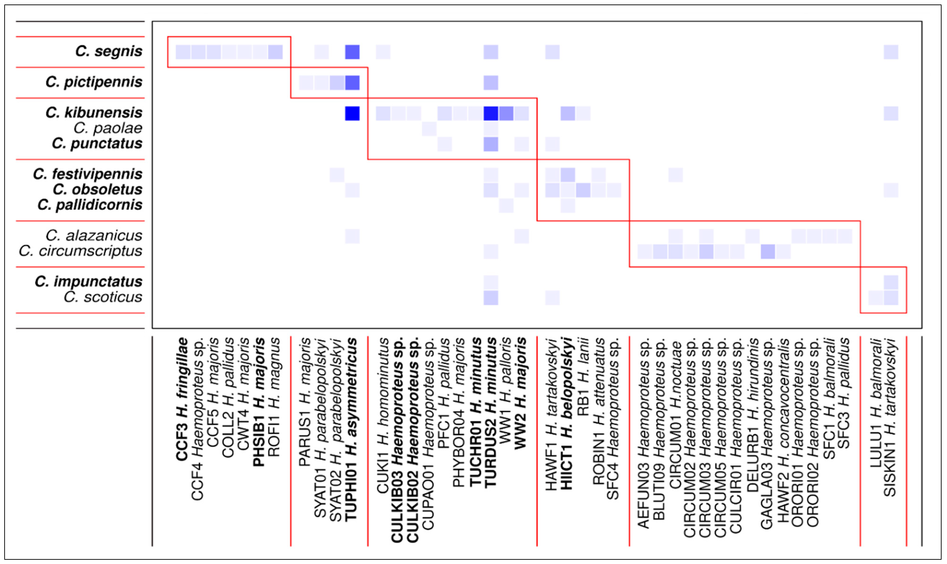 Diversity 14 00957 g003