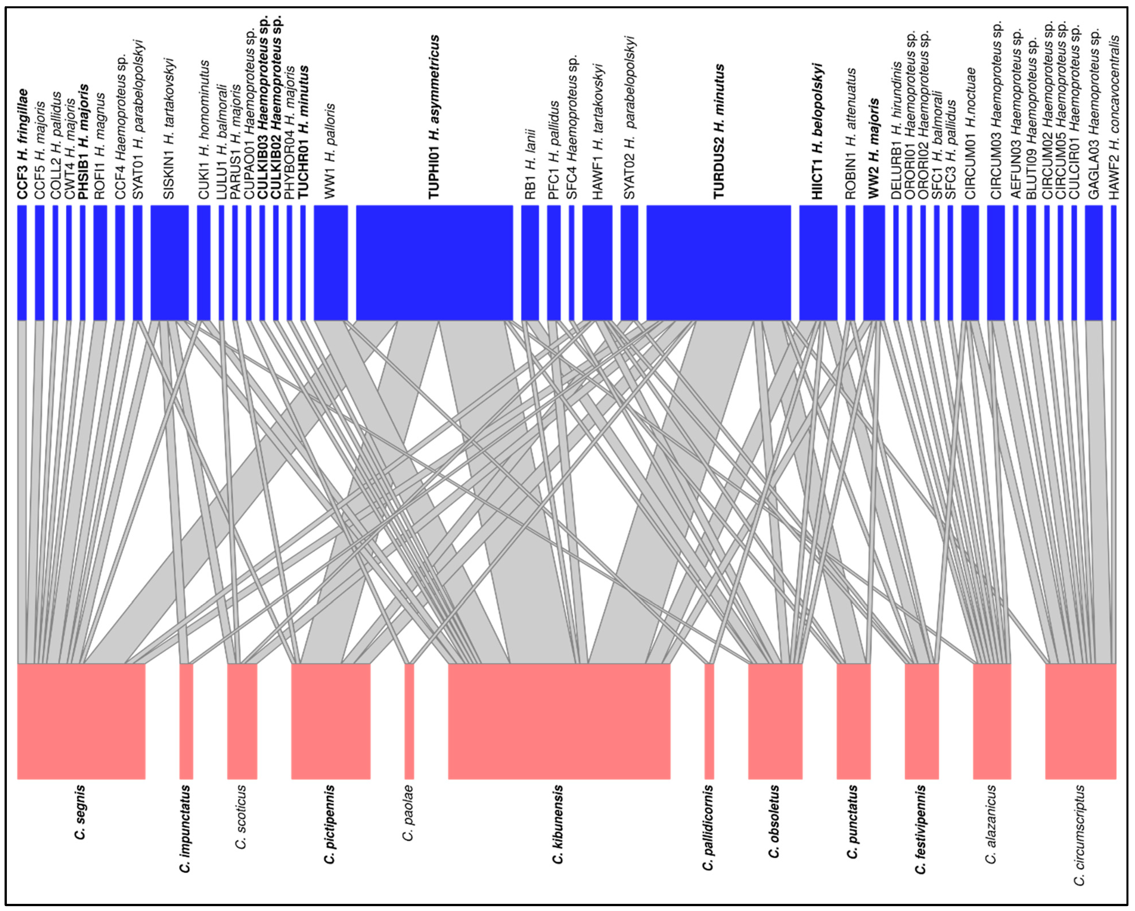 Diversity 14 00957 g004