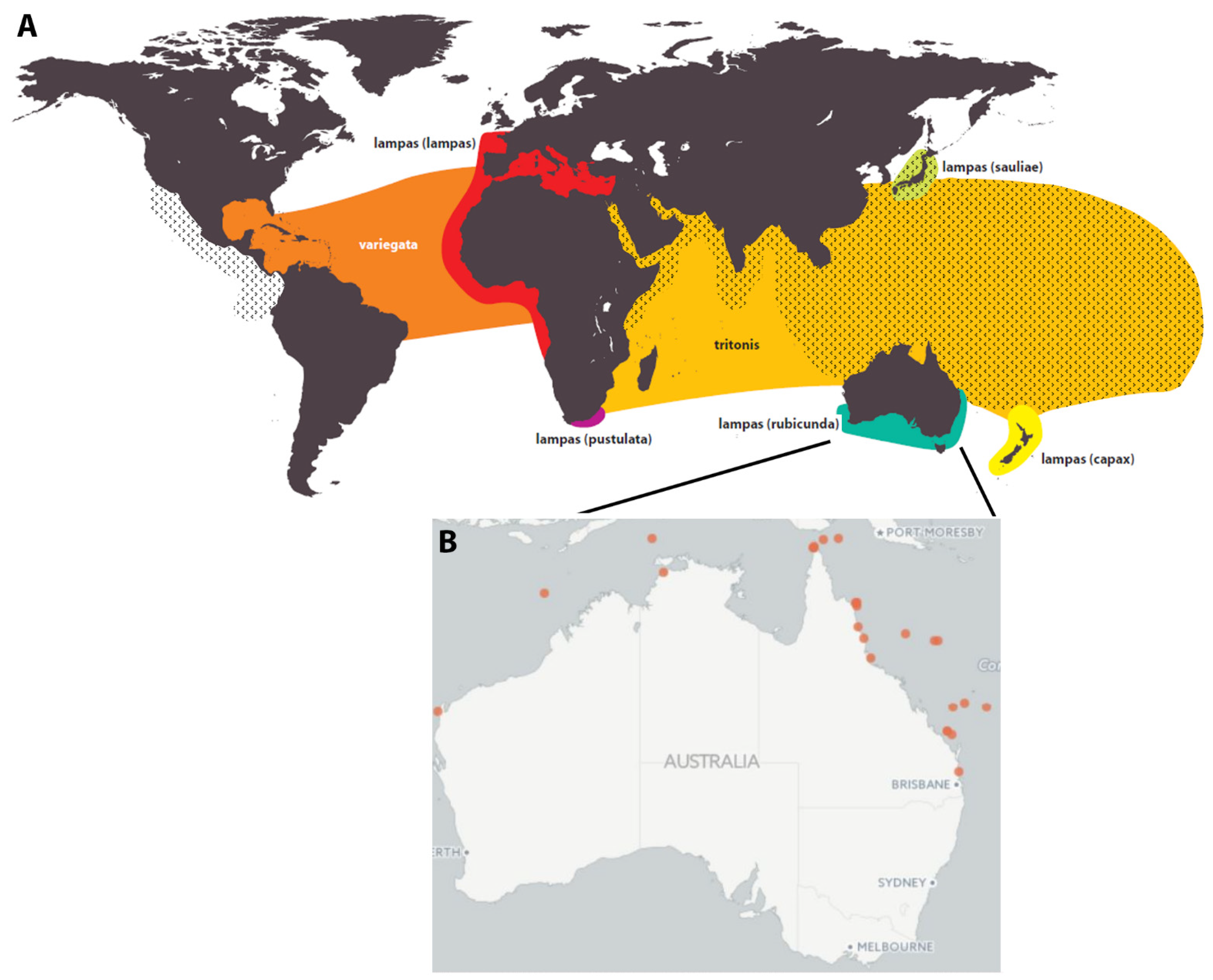 Diversity 14 00961 g001 Diversity 14 00961 g001