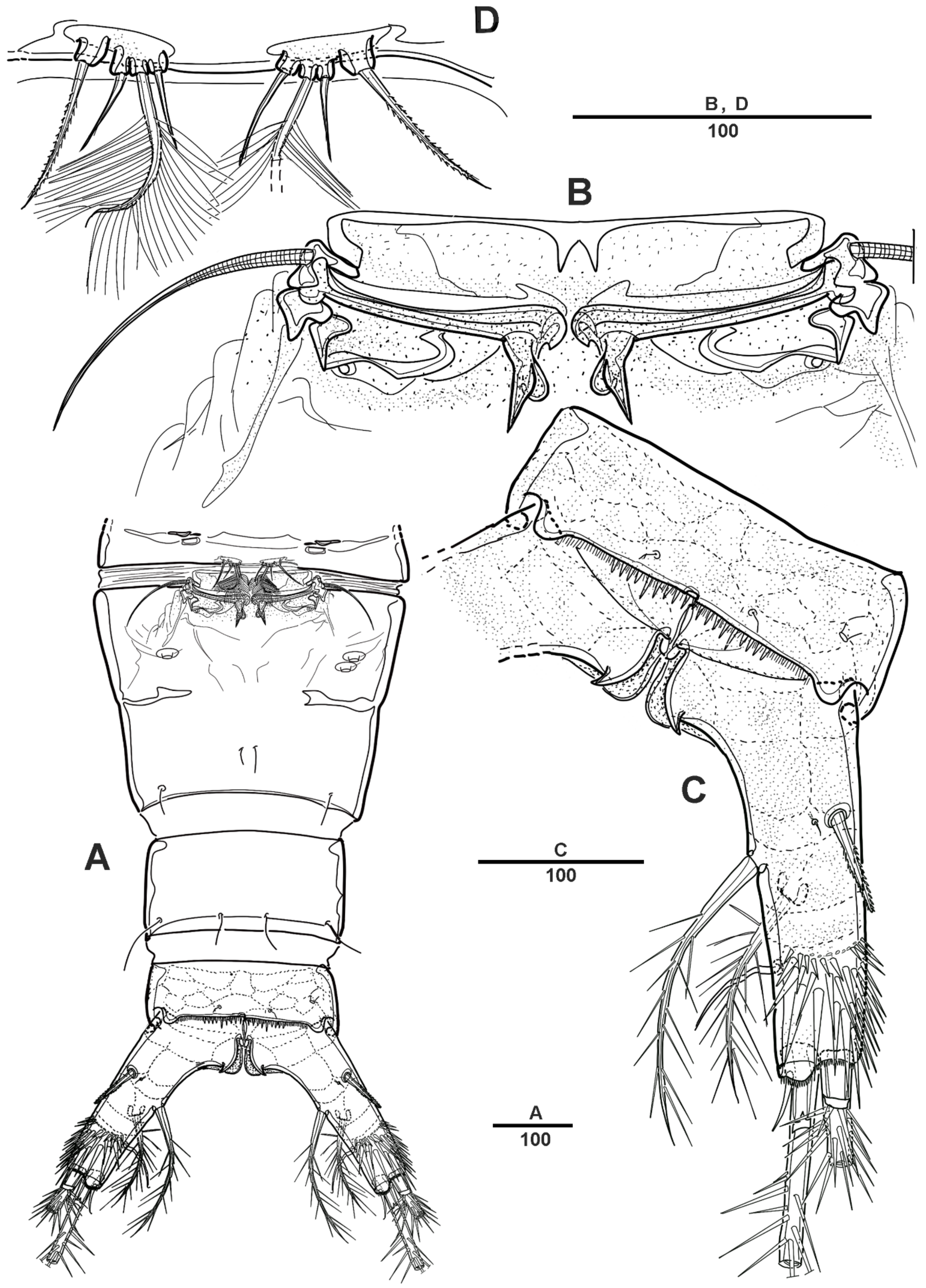 Diversity 14 00967 g002