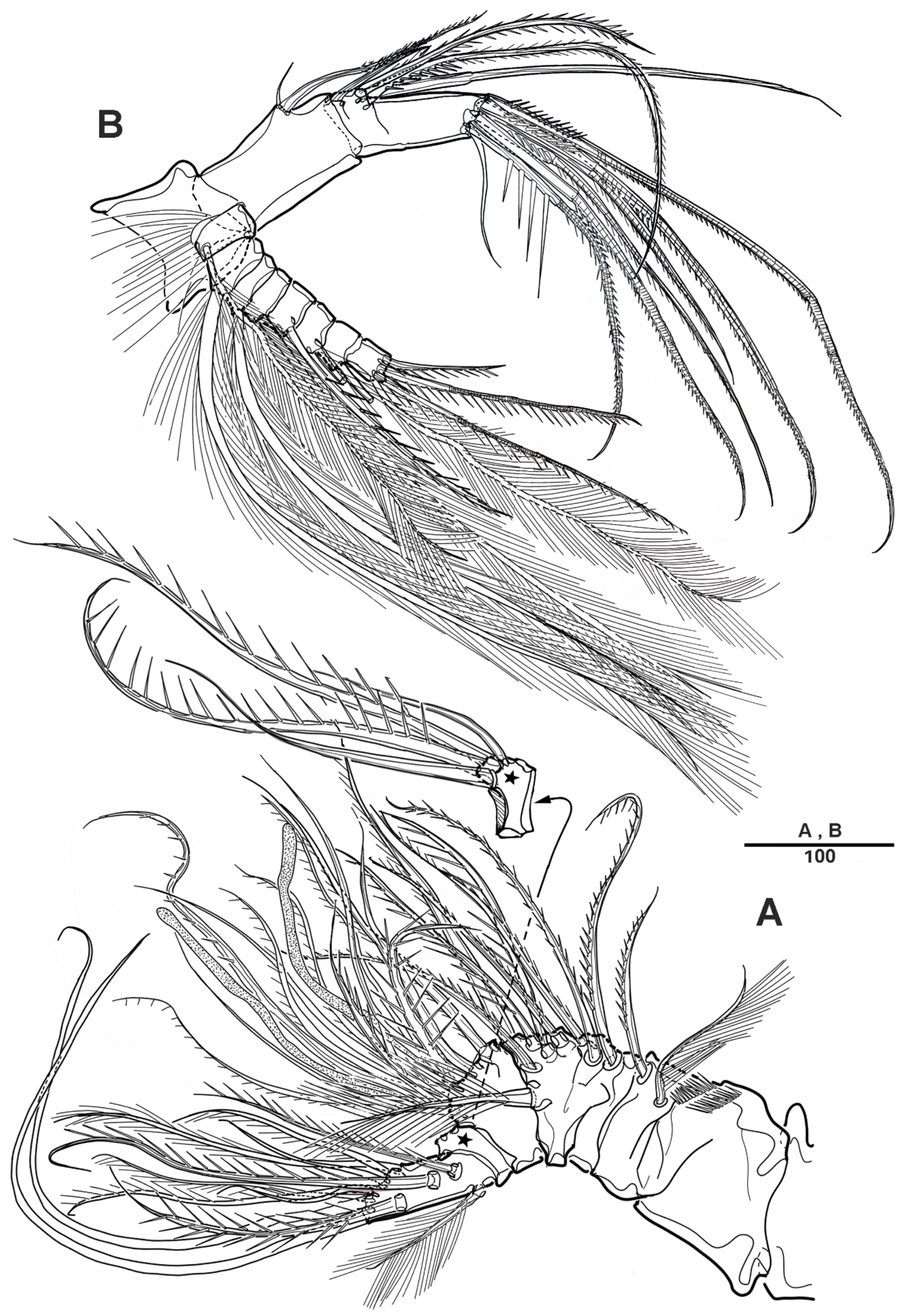 Diversity 14 00967 g003