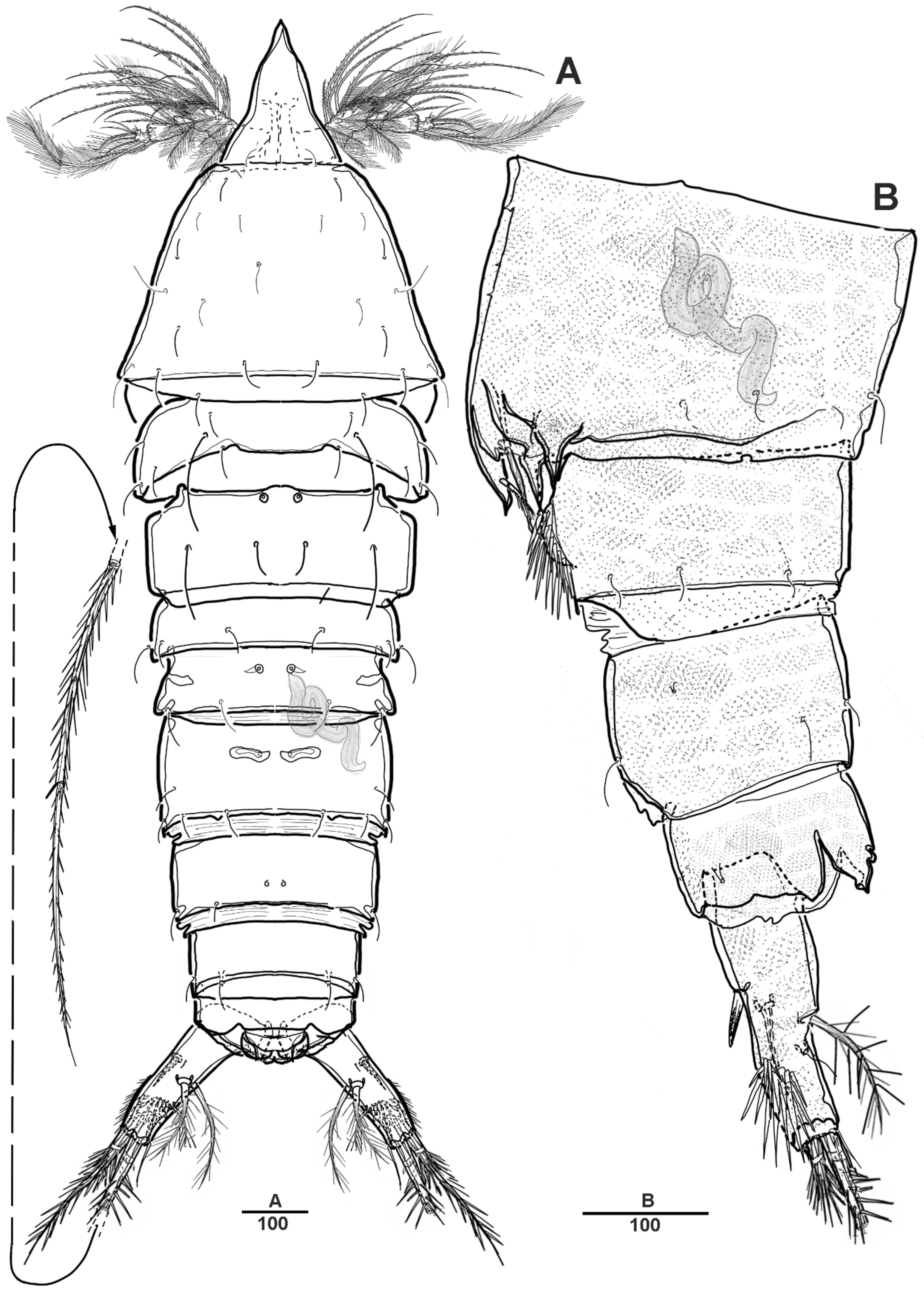 Diversity 14 00967 g008