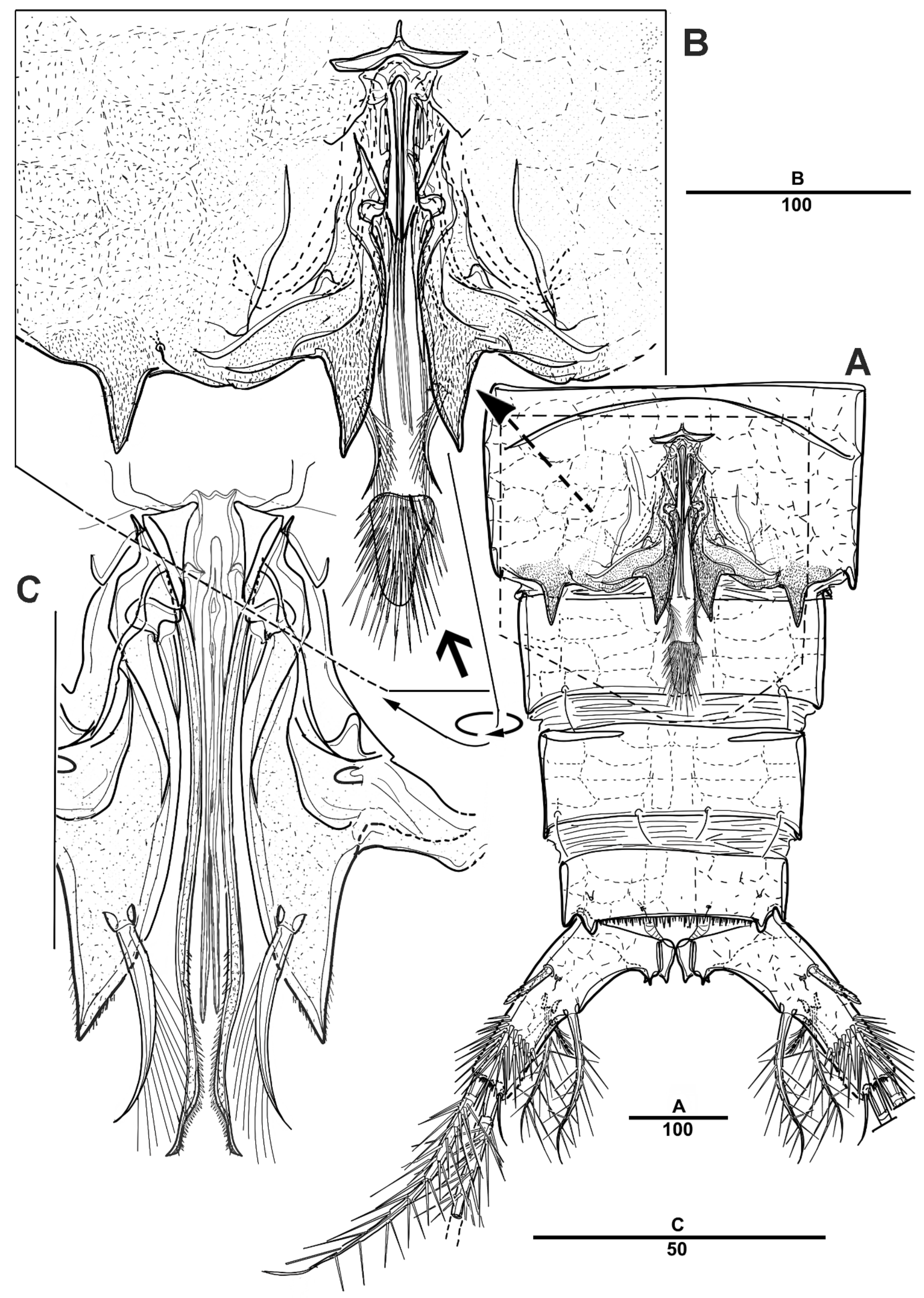 Diversity 14 00967 g011