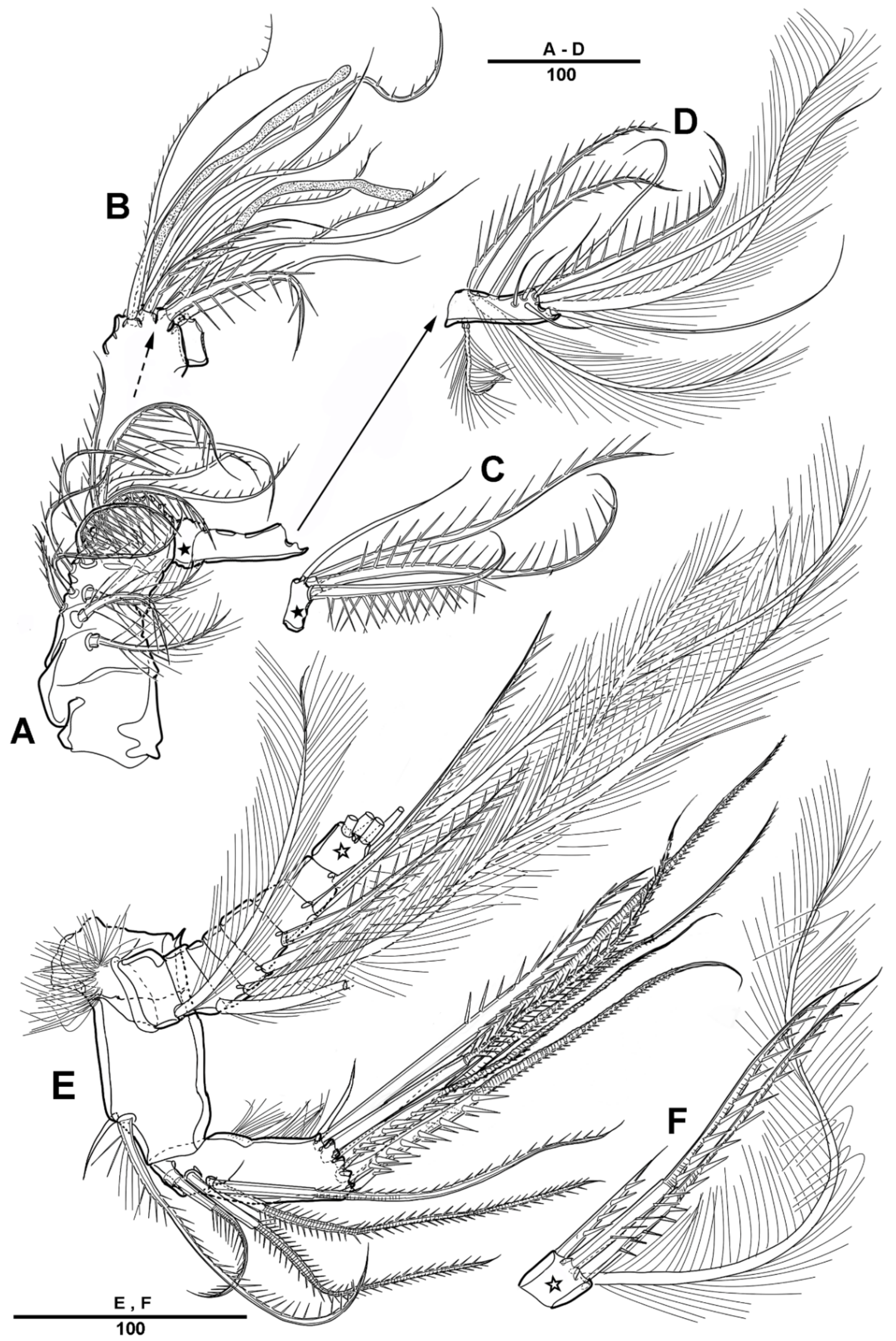 Diversity 14 00967 g014