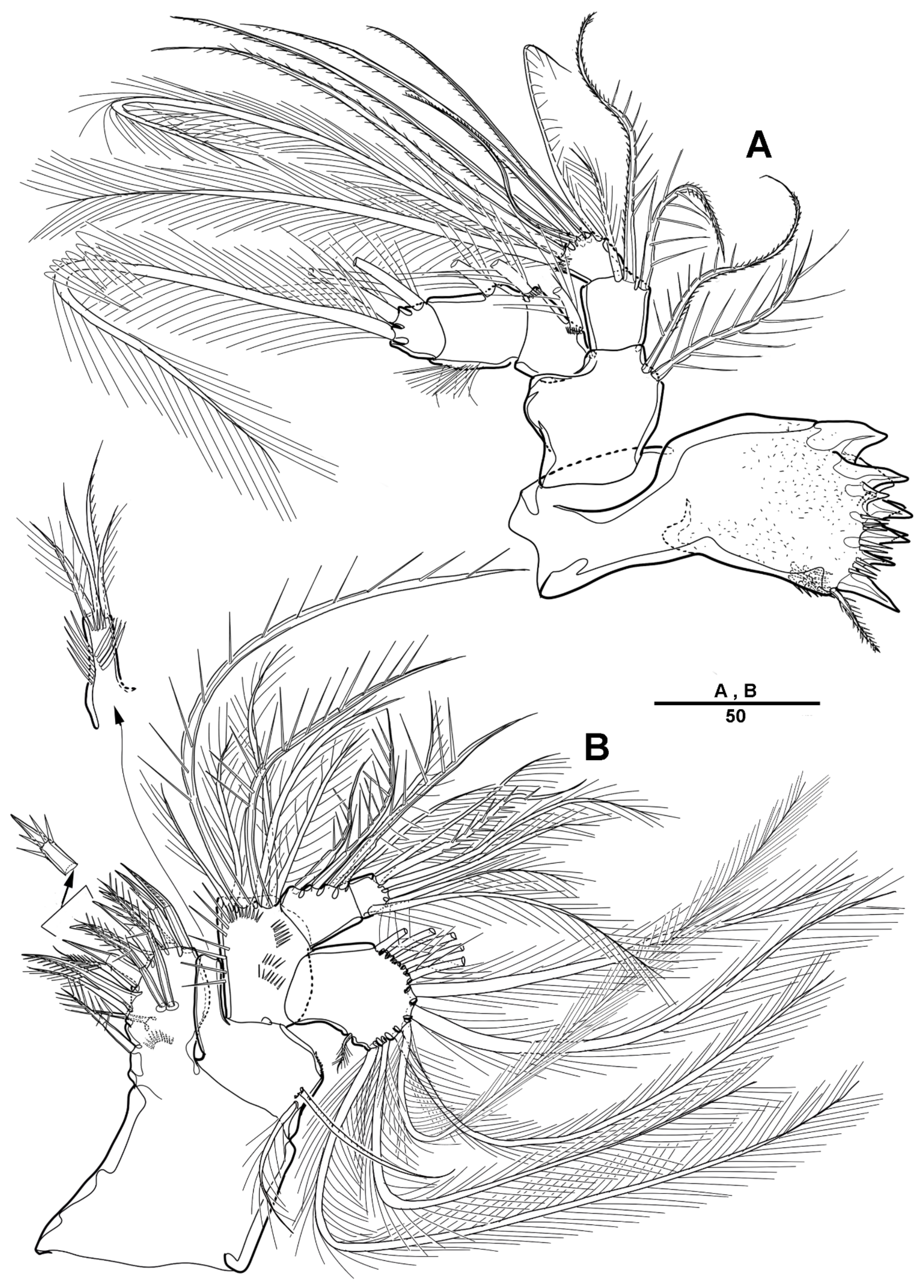 Diversity 14 00967 g015