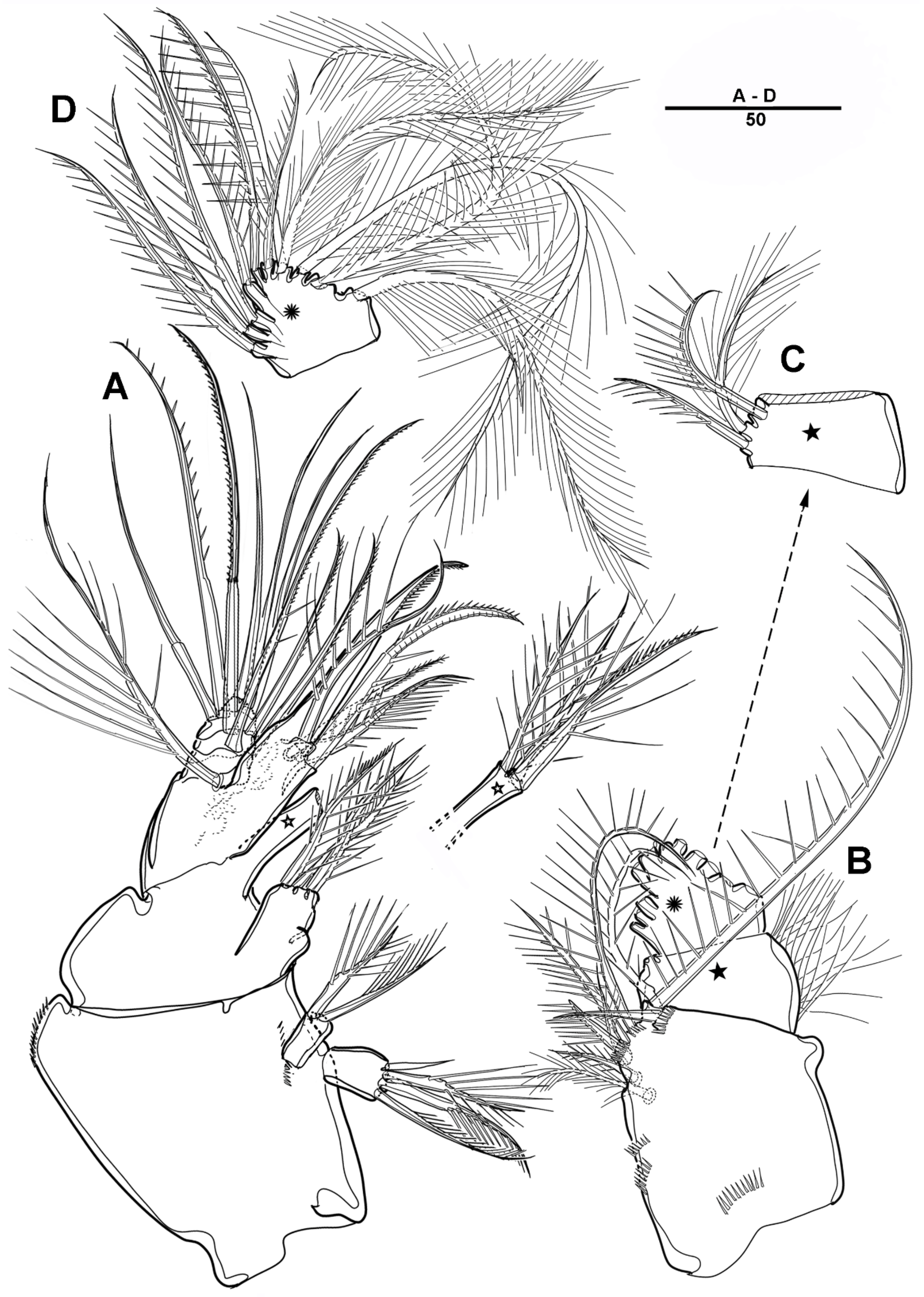 Diversity 14 00967 g016