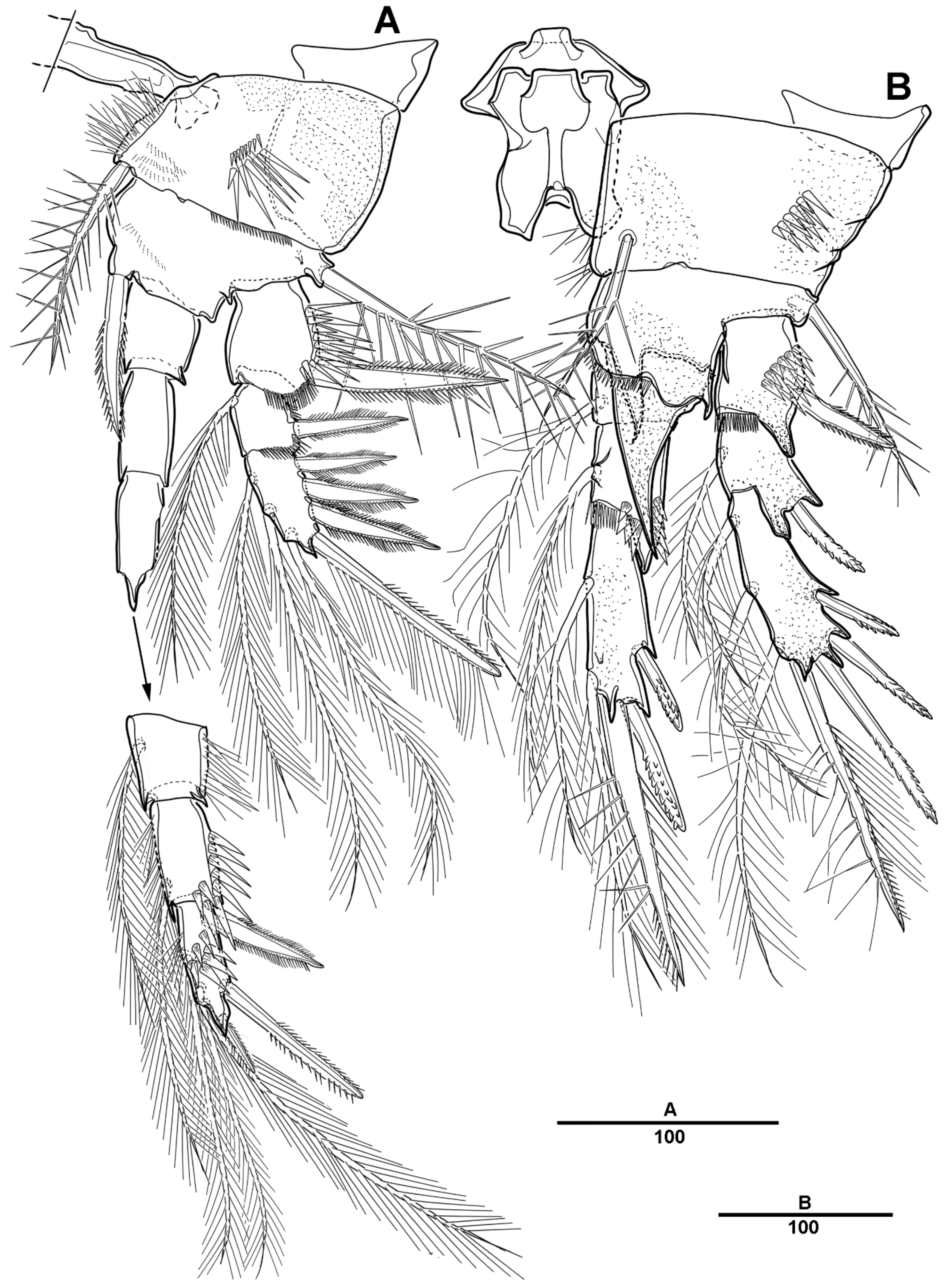 Diversity 14 00967 g017