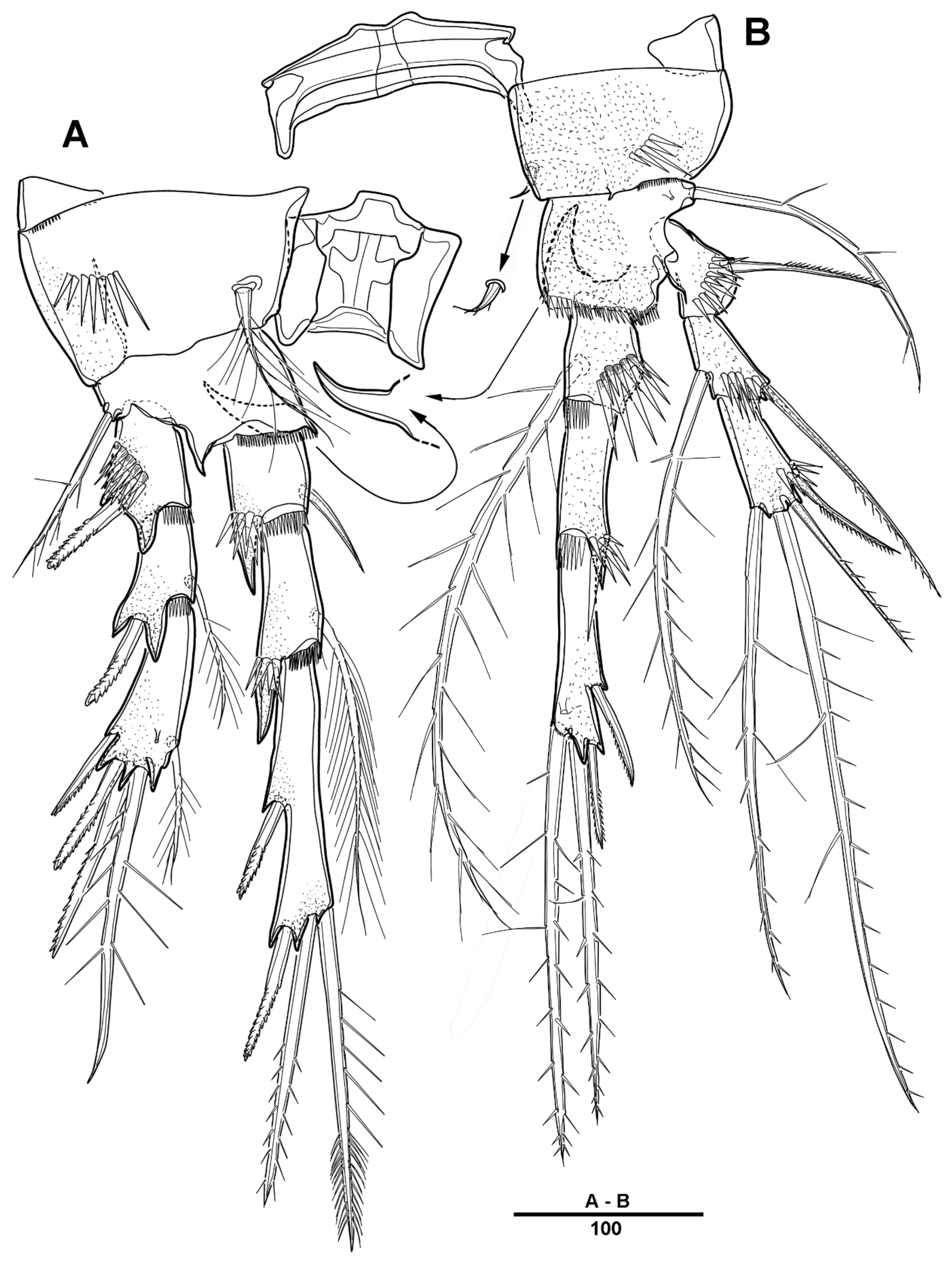 Diversity 14 00967 g018