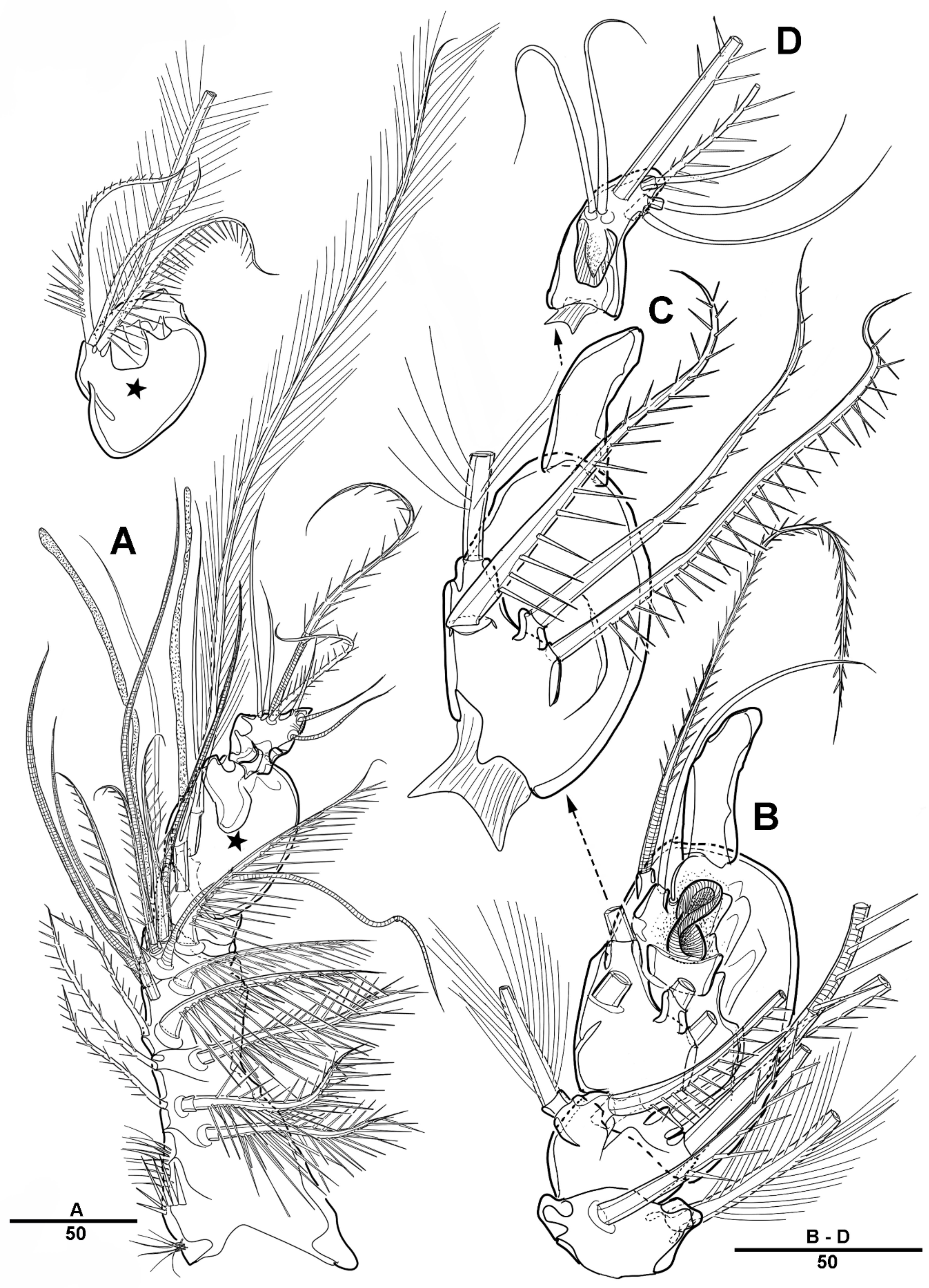 Diversity 14 00967 g020