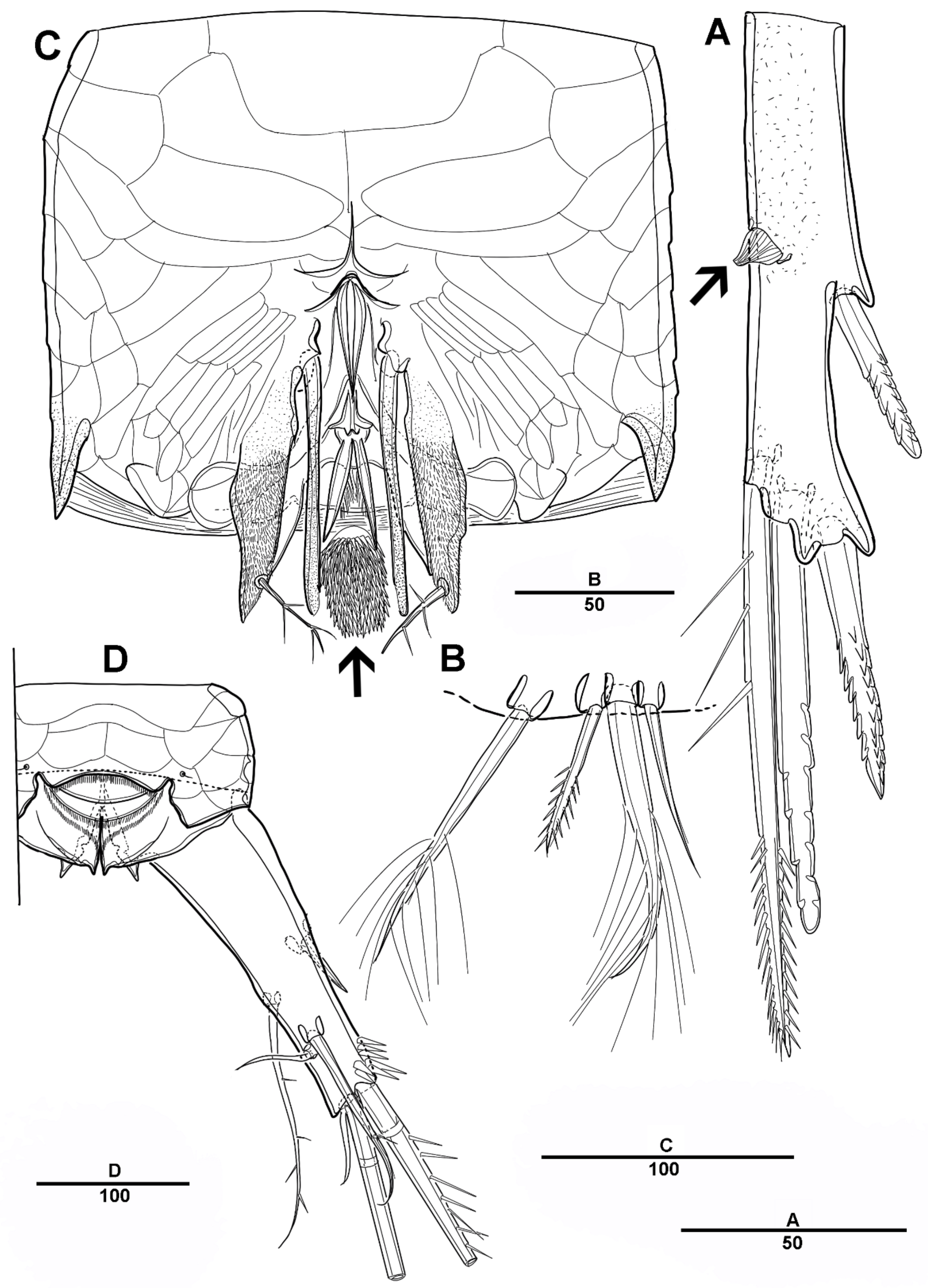 Diversity 14 00967 g021