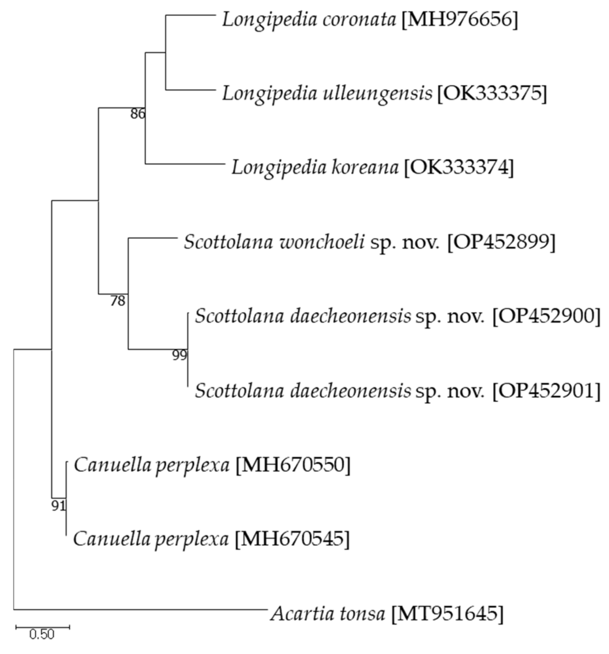Diversity 14 00967 g022