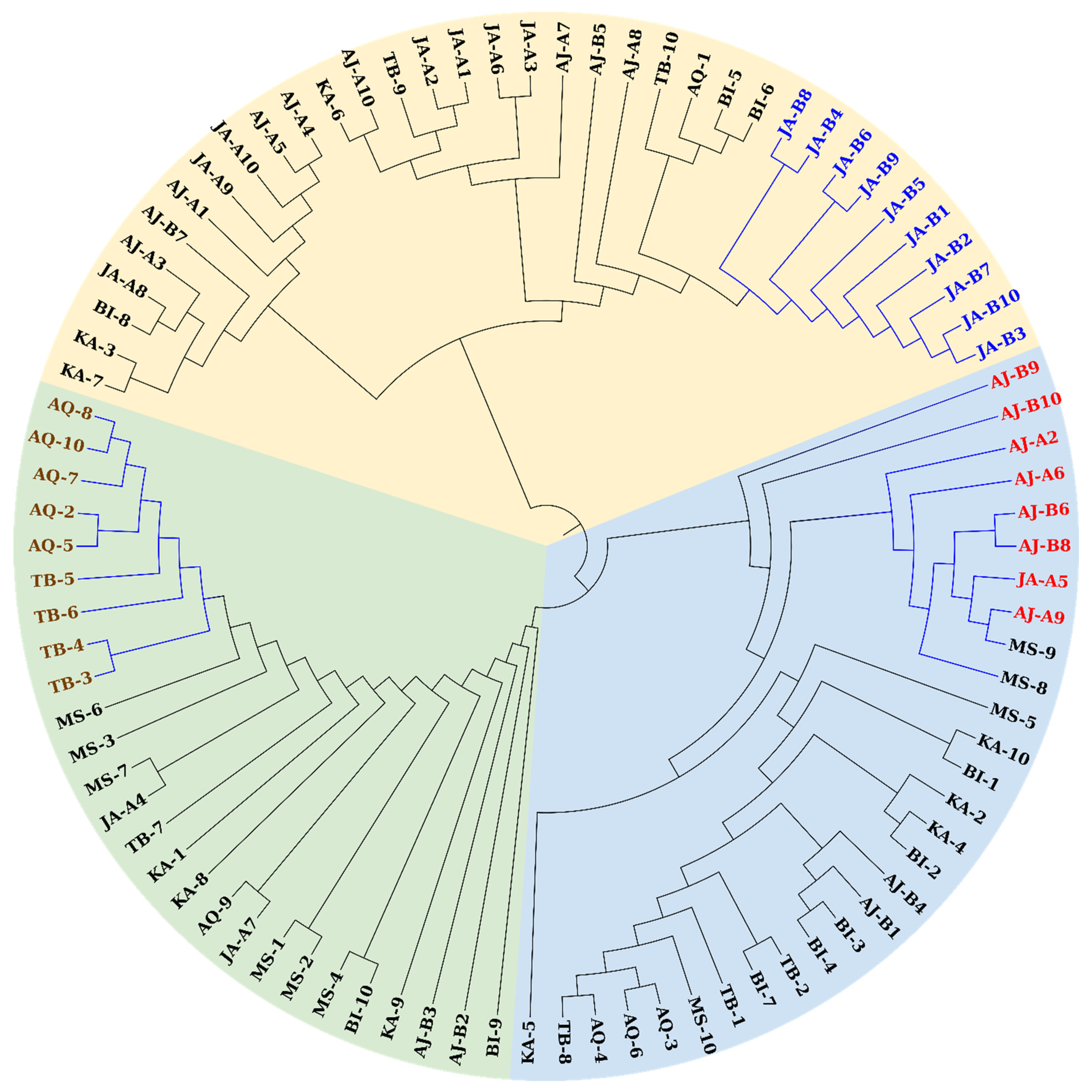 Diversity 14 00969 g003