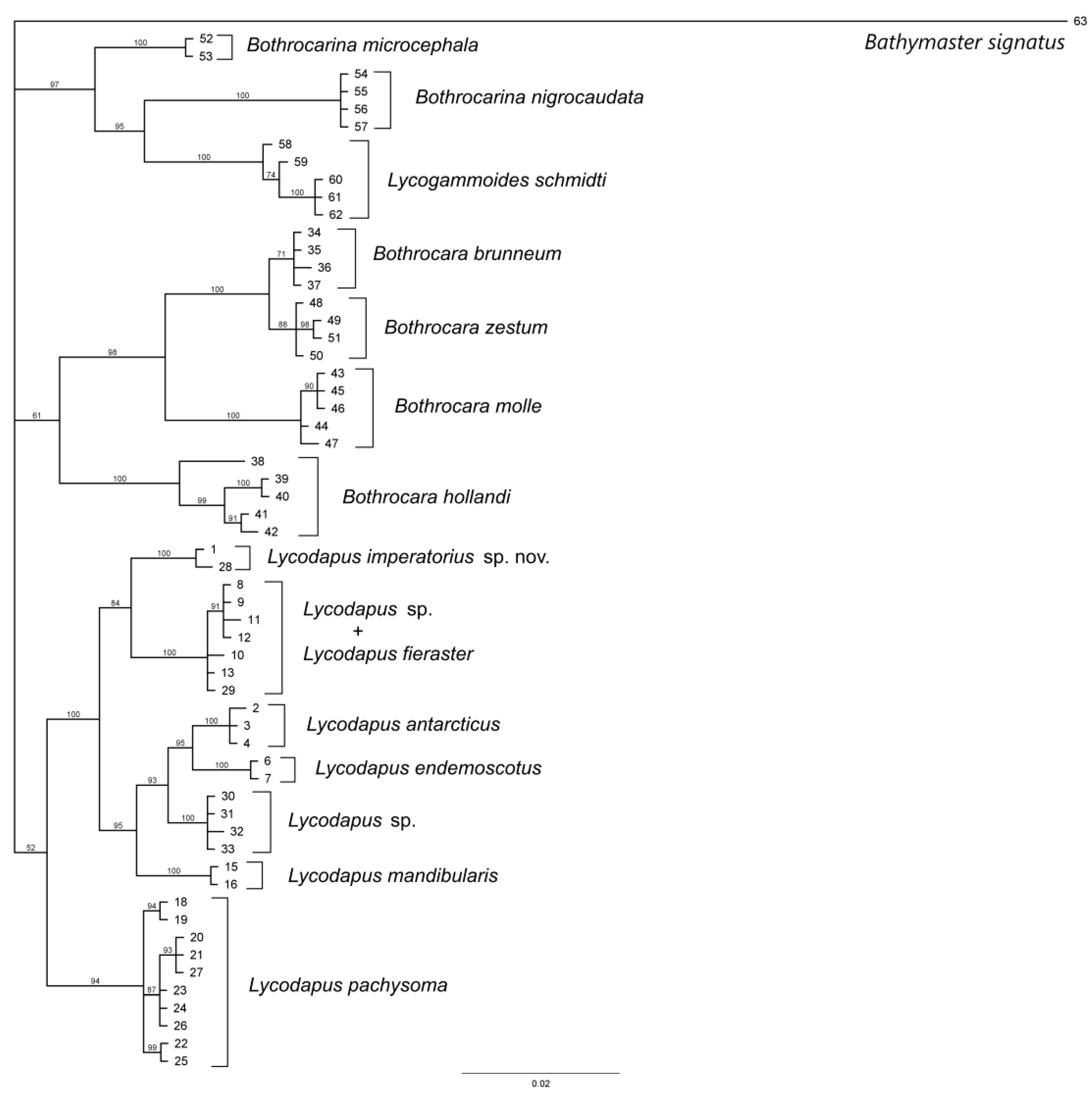 Diversity 14 00972 g002 Diversity 14 00972 g002