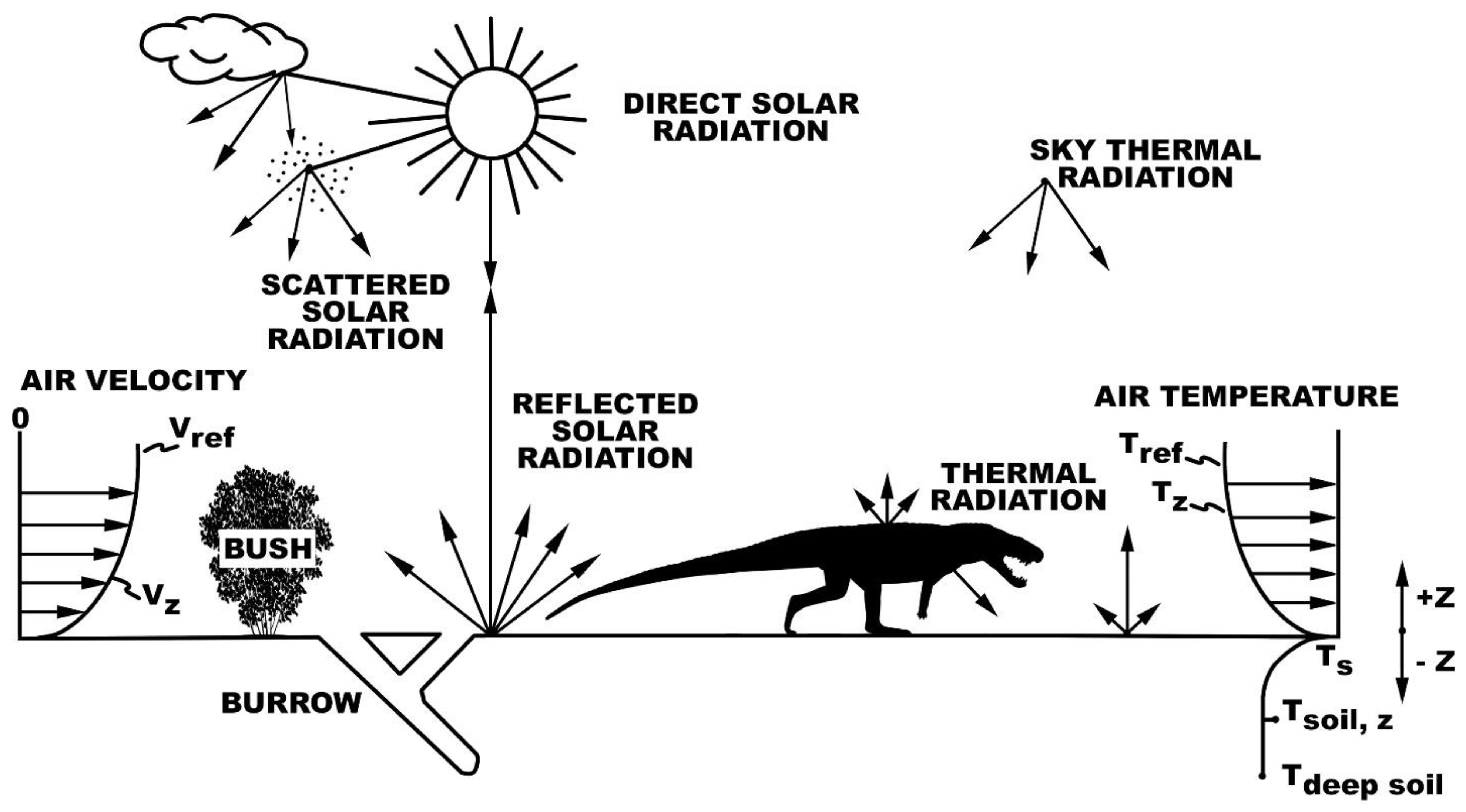Diversity 14 00973 g001 Diversity 14 00973 g001