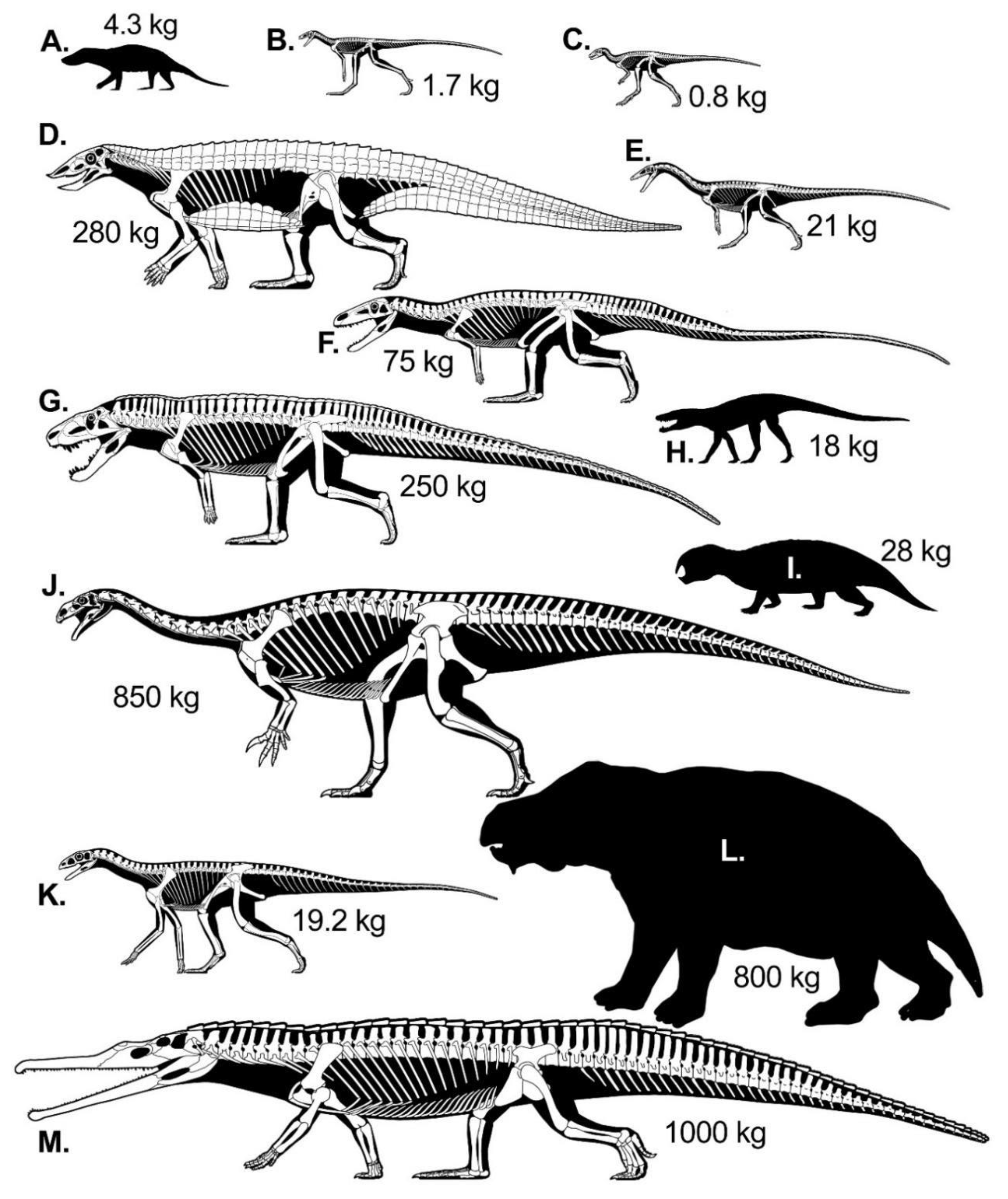 Diversity 14 00973 g003 Diversity 14 00973 g003