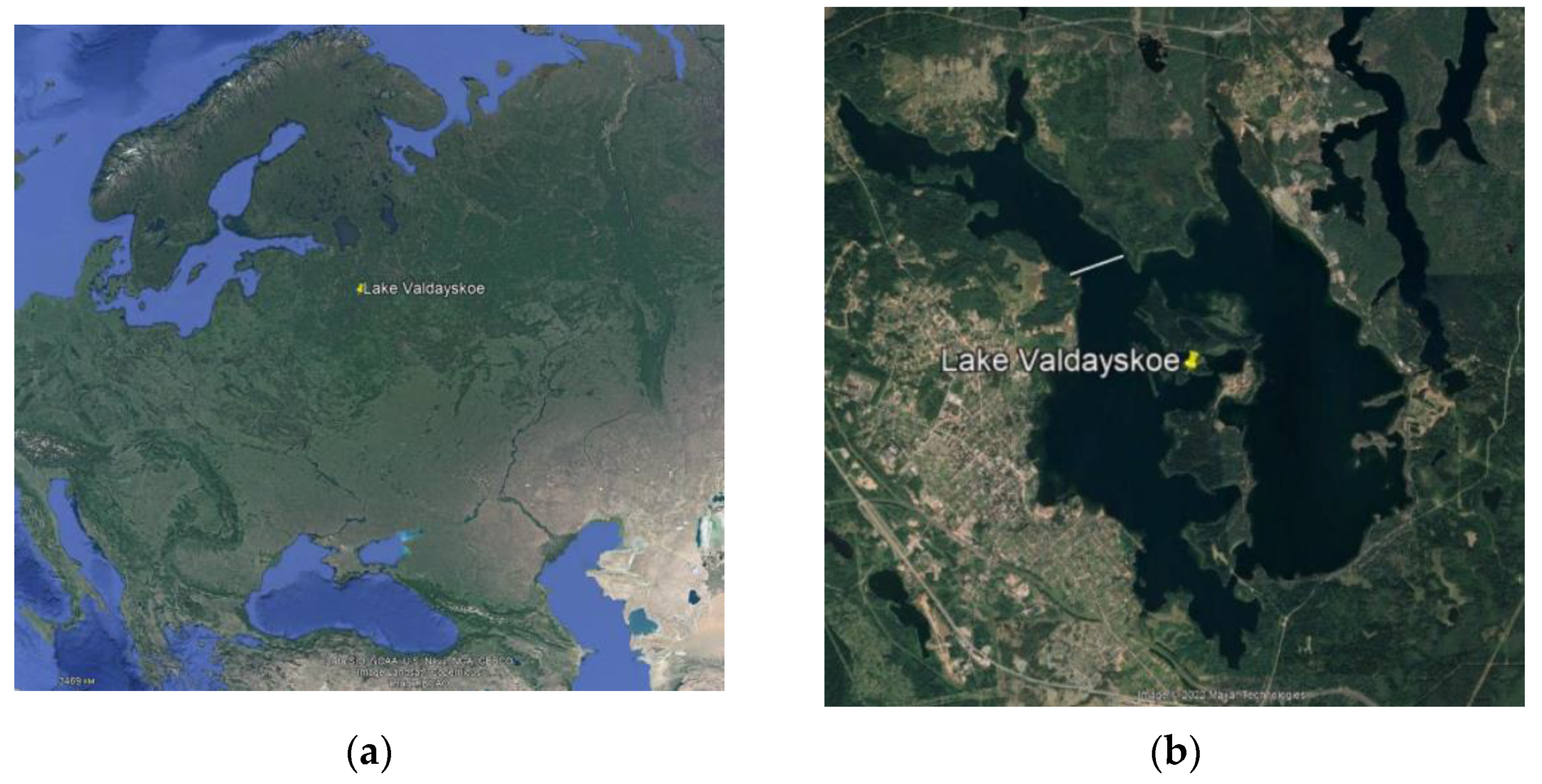 Diversity 14 00974 g001