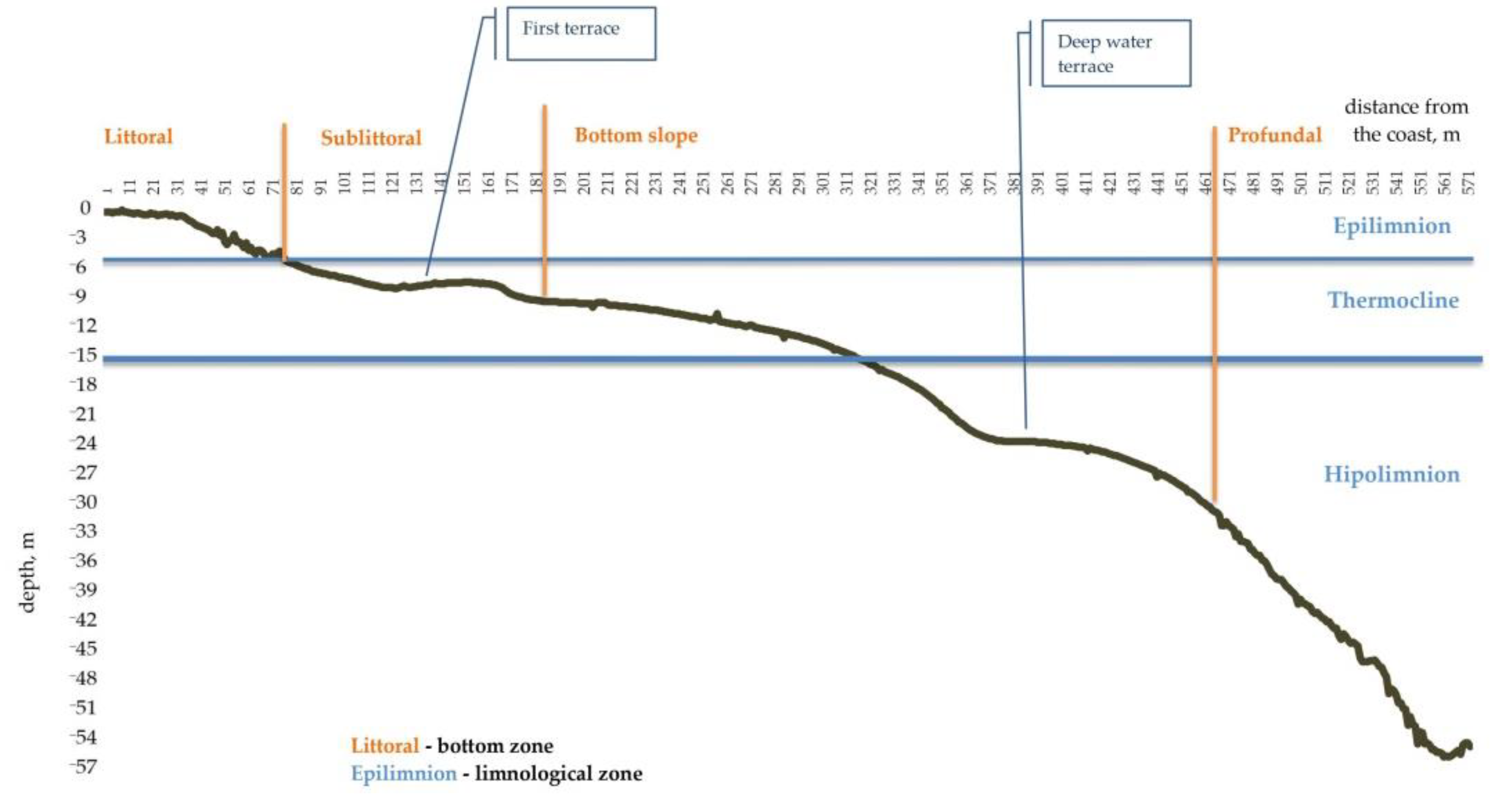 Diversity 14 00974 g002
