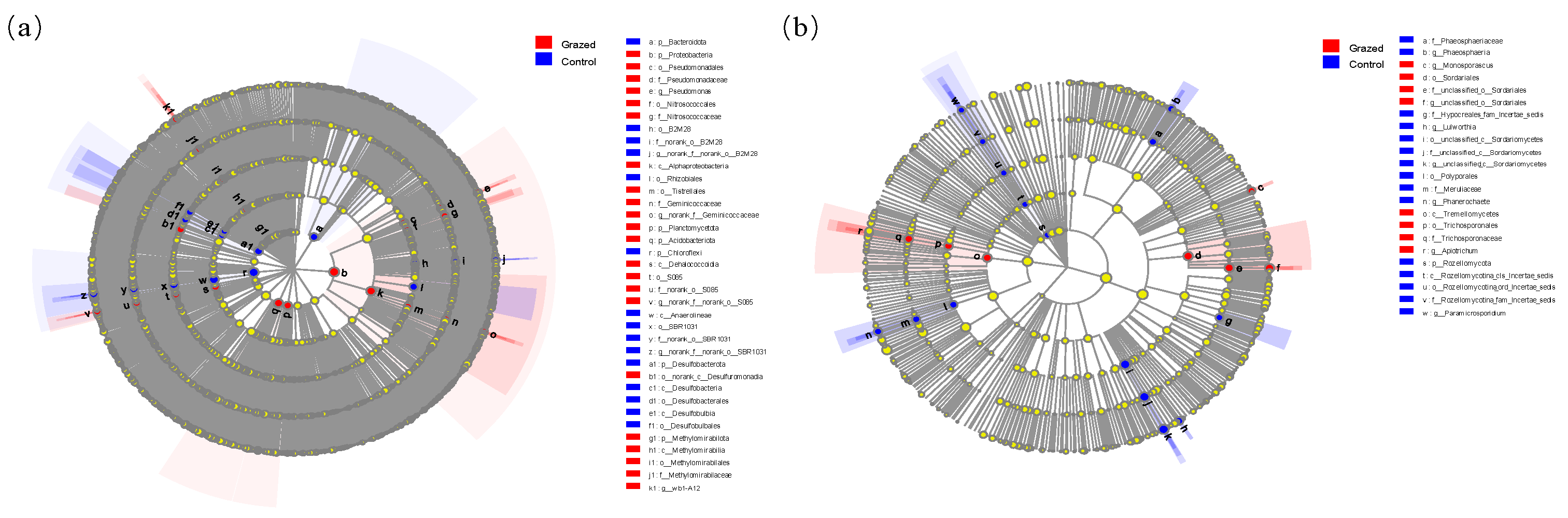 Diversity 14 00976 g005
