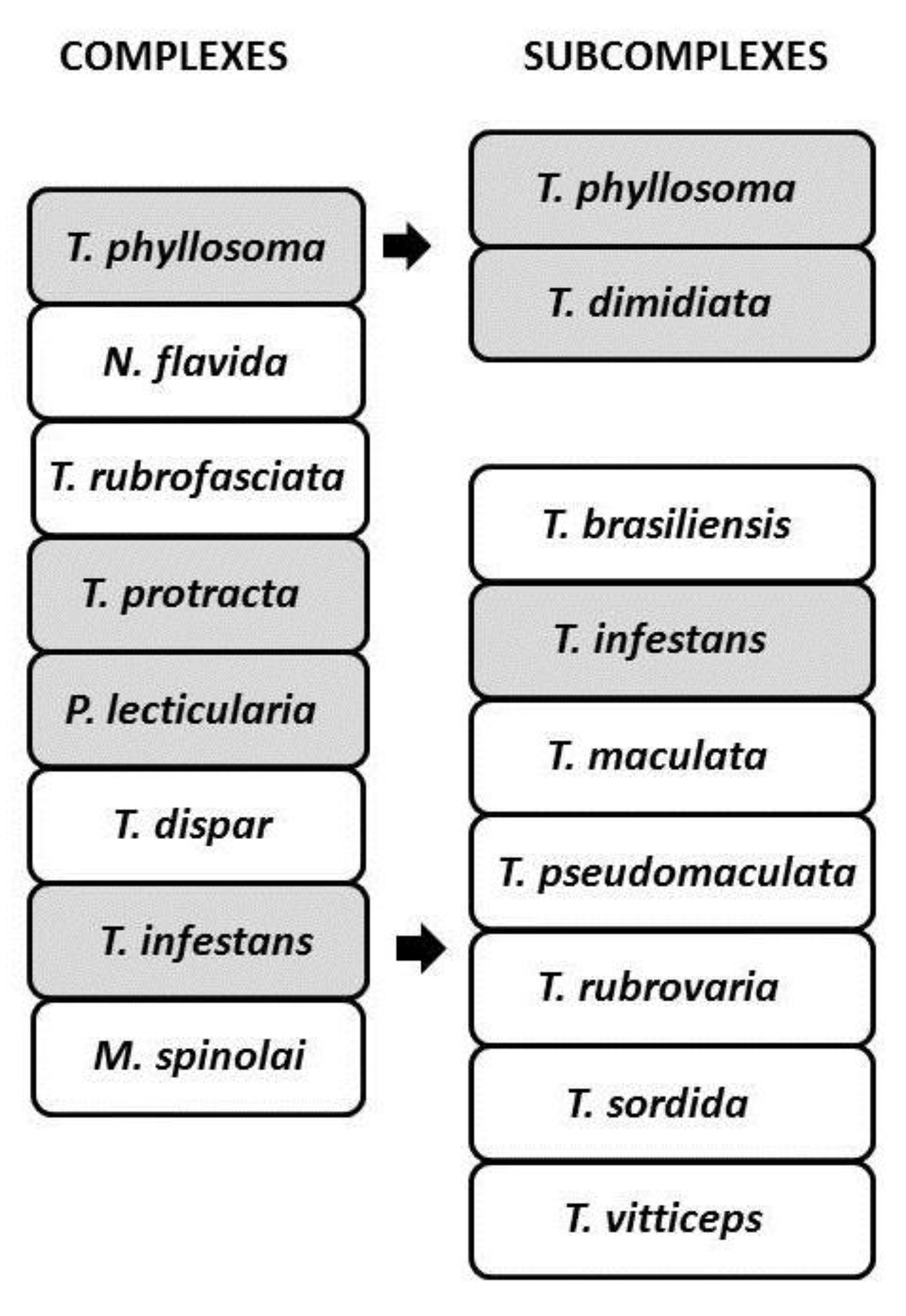 Taxonomias: associar termos relacionados (7)