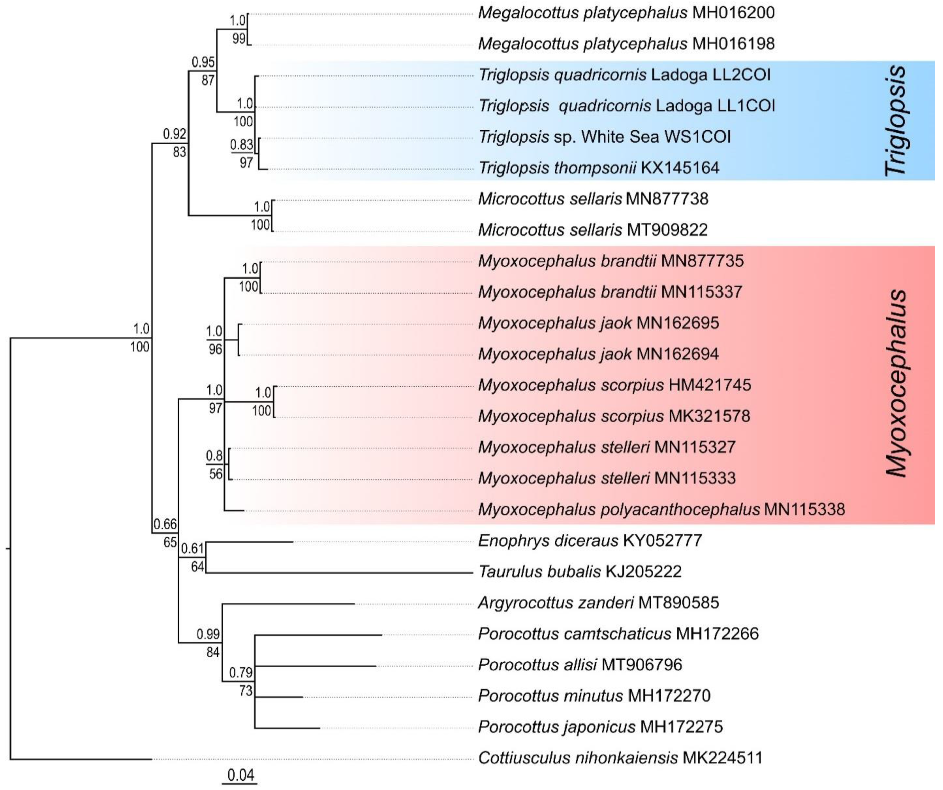 Diversity 14 00983 g007