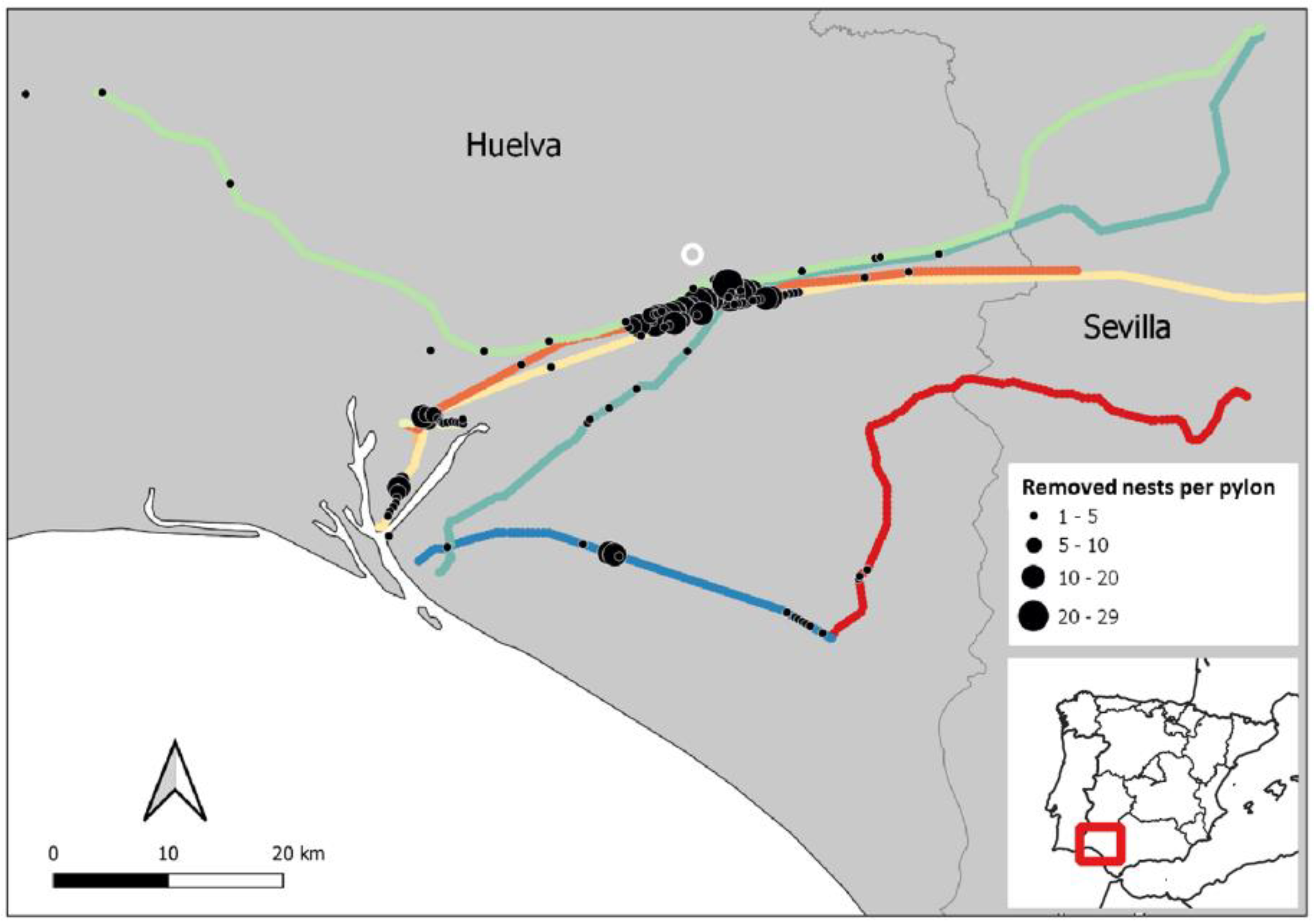 Diversity 14 00984 g001 Diversity 14 00984 g001