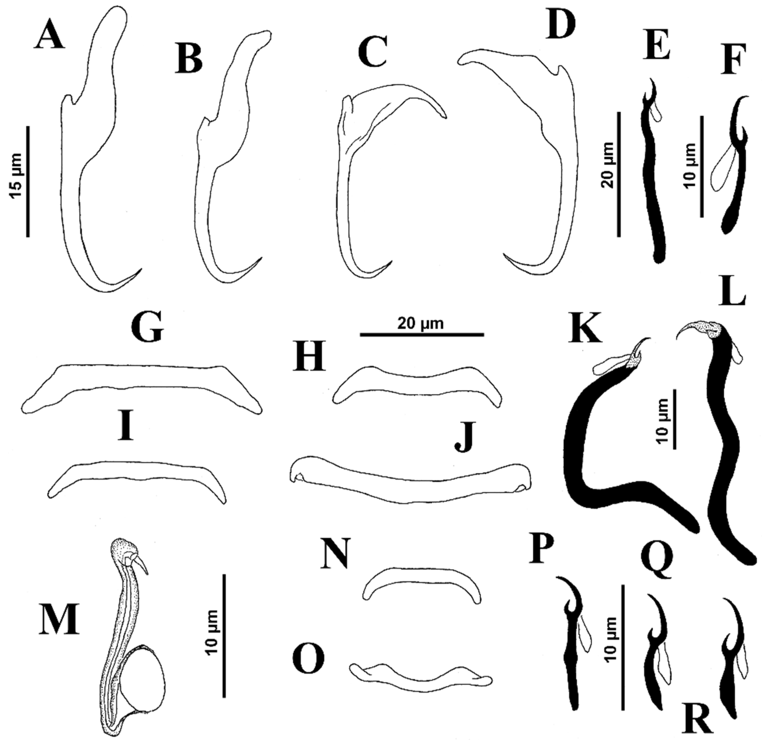 Diversity 14 00985 g003