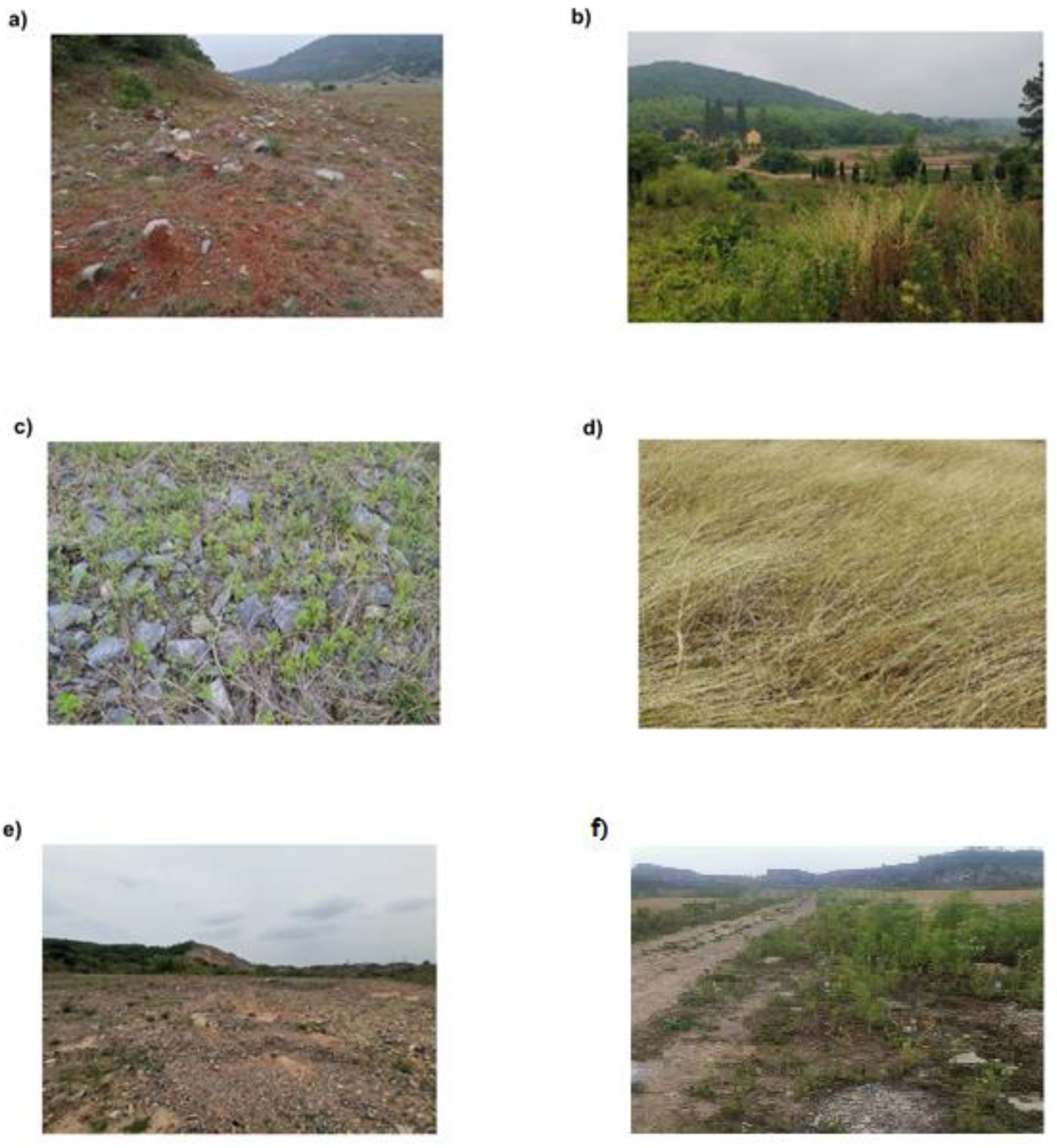 Diversity 14 00986 g002 Diversity 14 00986 g002