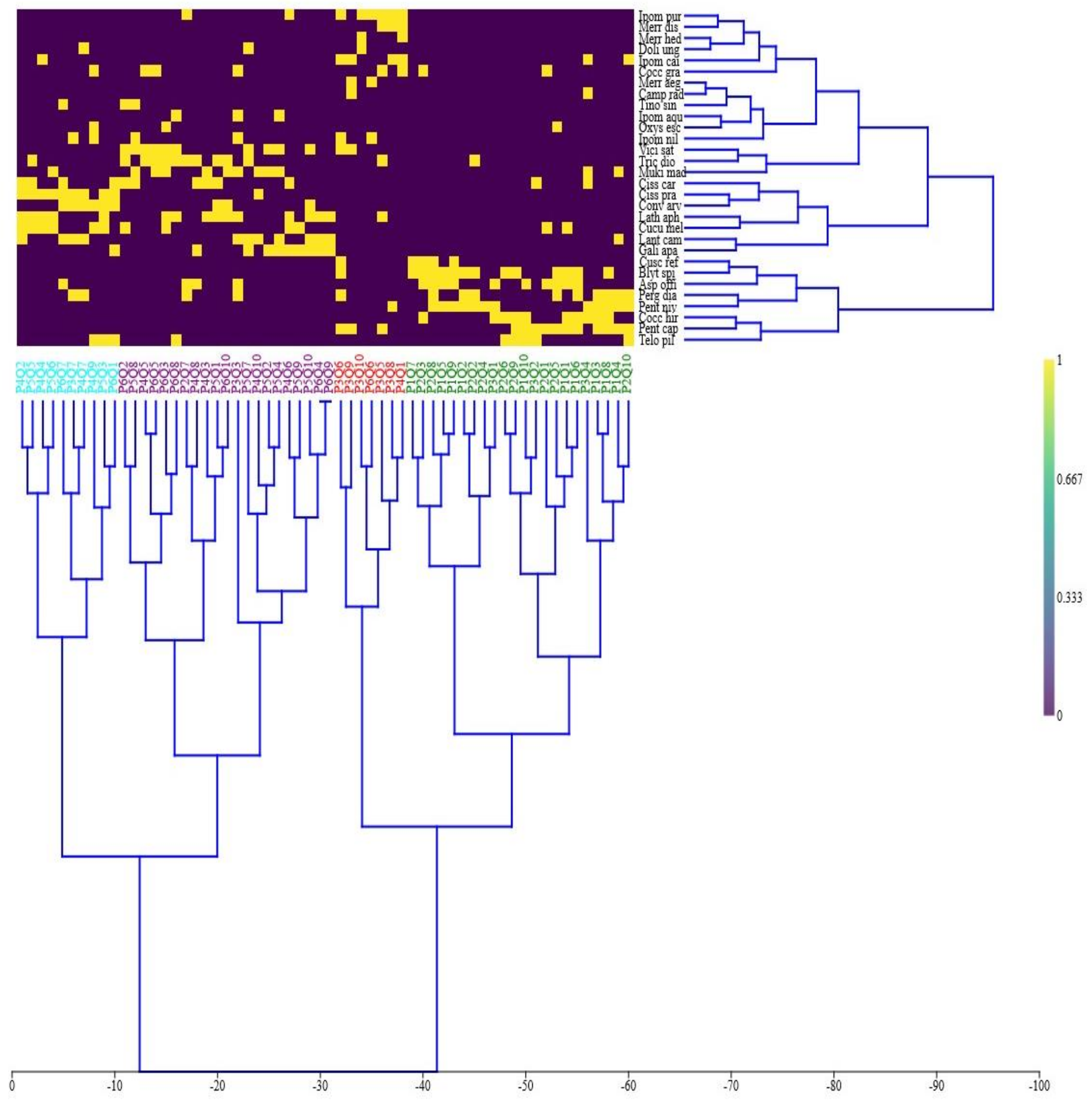 Diversity 14 00988 g004 Diversity 14 00988 g004
