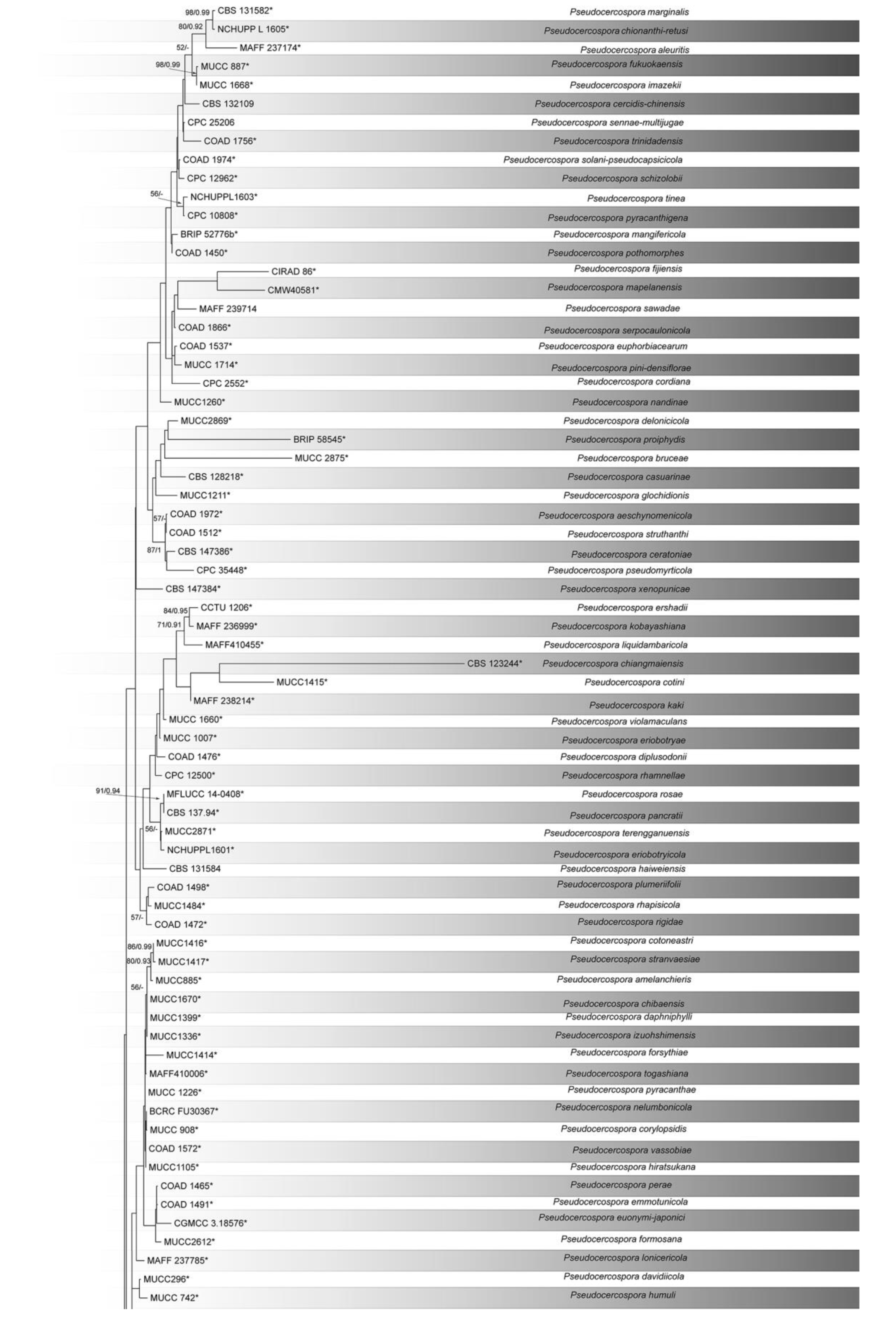 Diversity 14 00990 g002a
