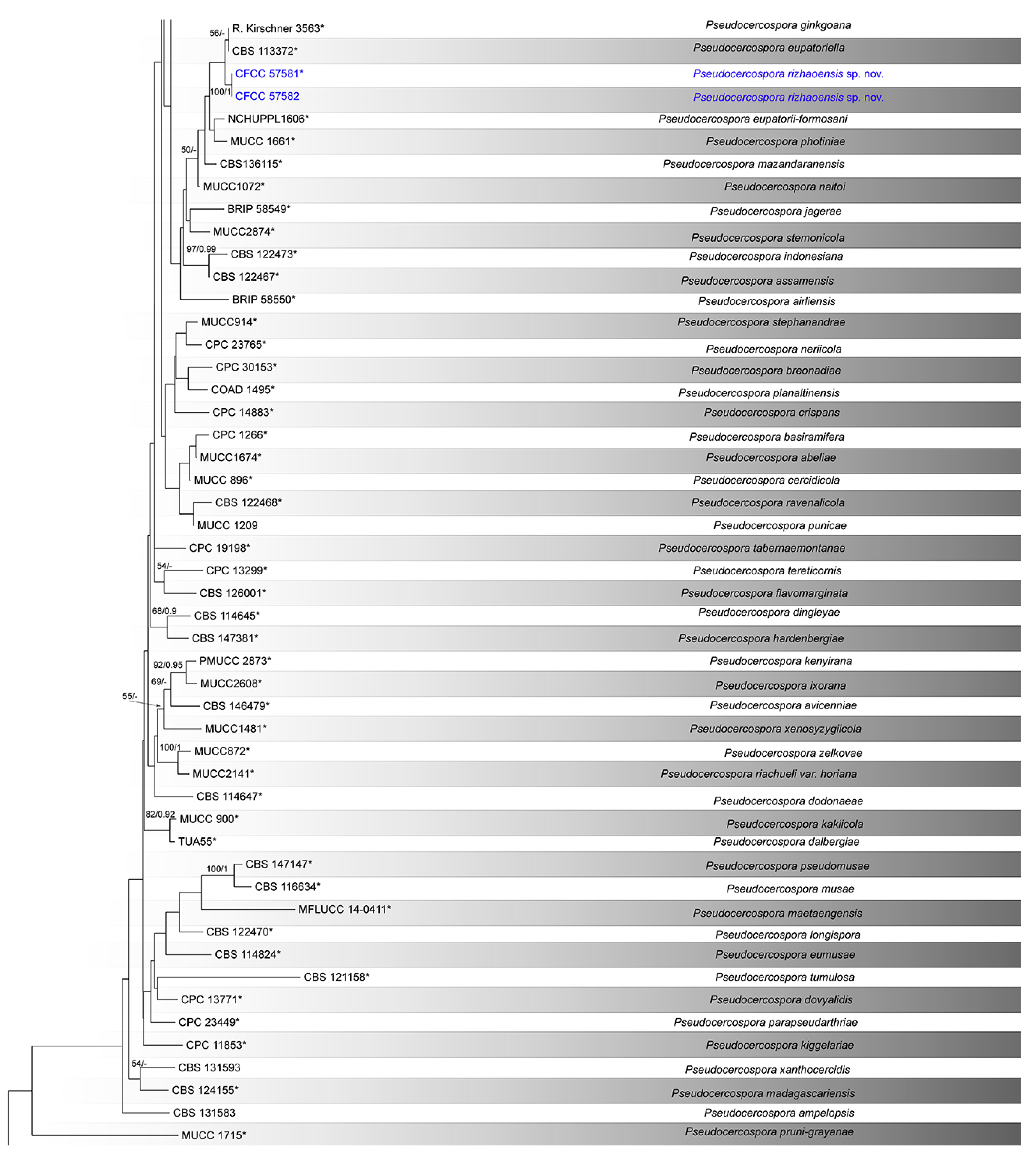 Diversity 14 00990 g002b