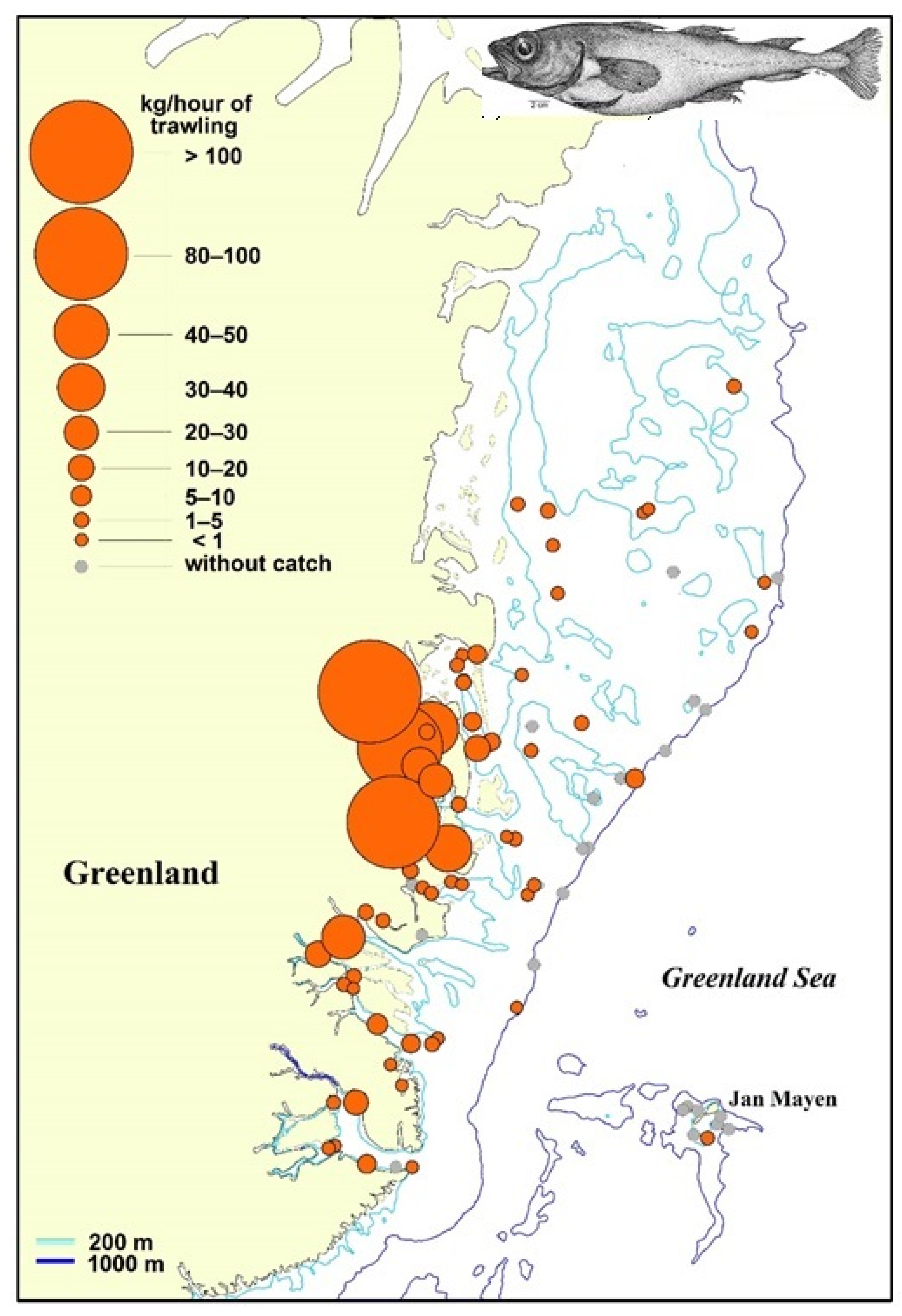Diversity 14 00993 g003
