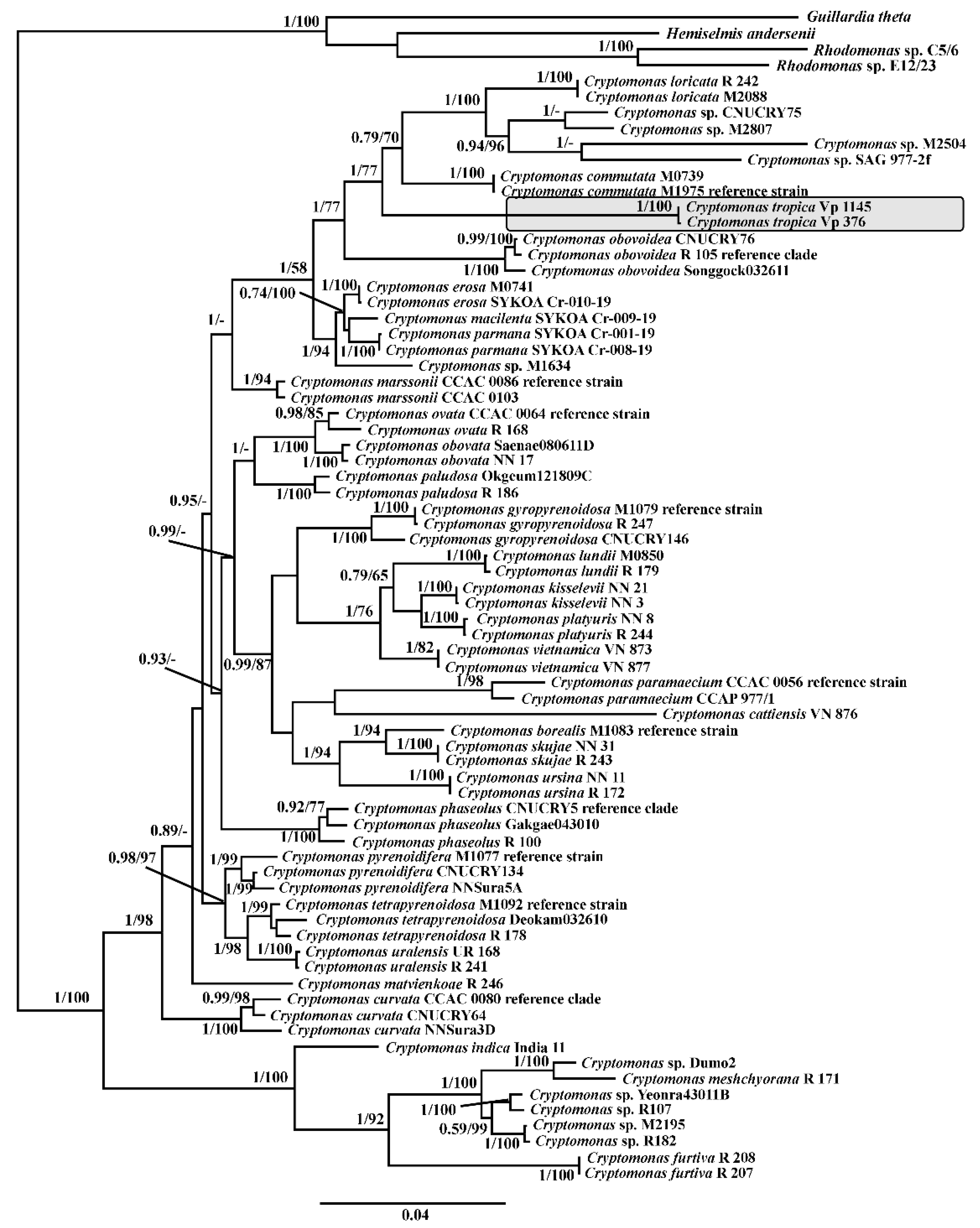 Diversity 14 01001 g003 Diversity 14 01001 g003