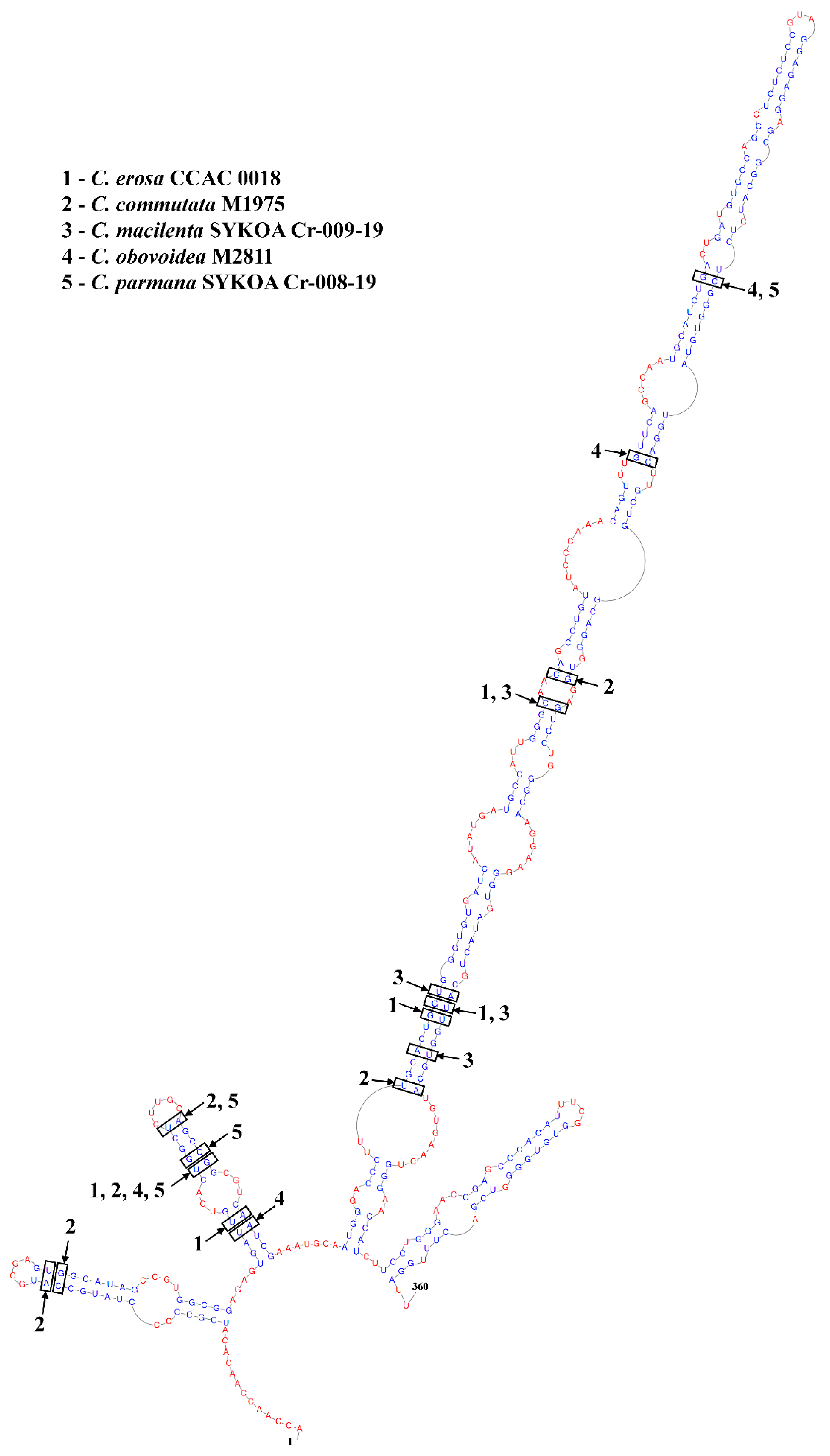 Diversity 14 01001 g004 Diversity 14 01001 g004