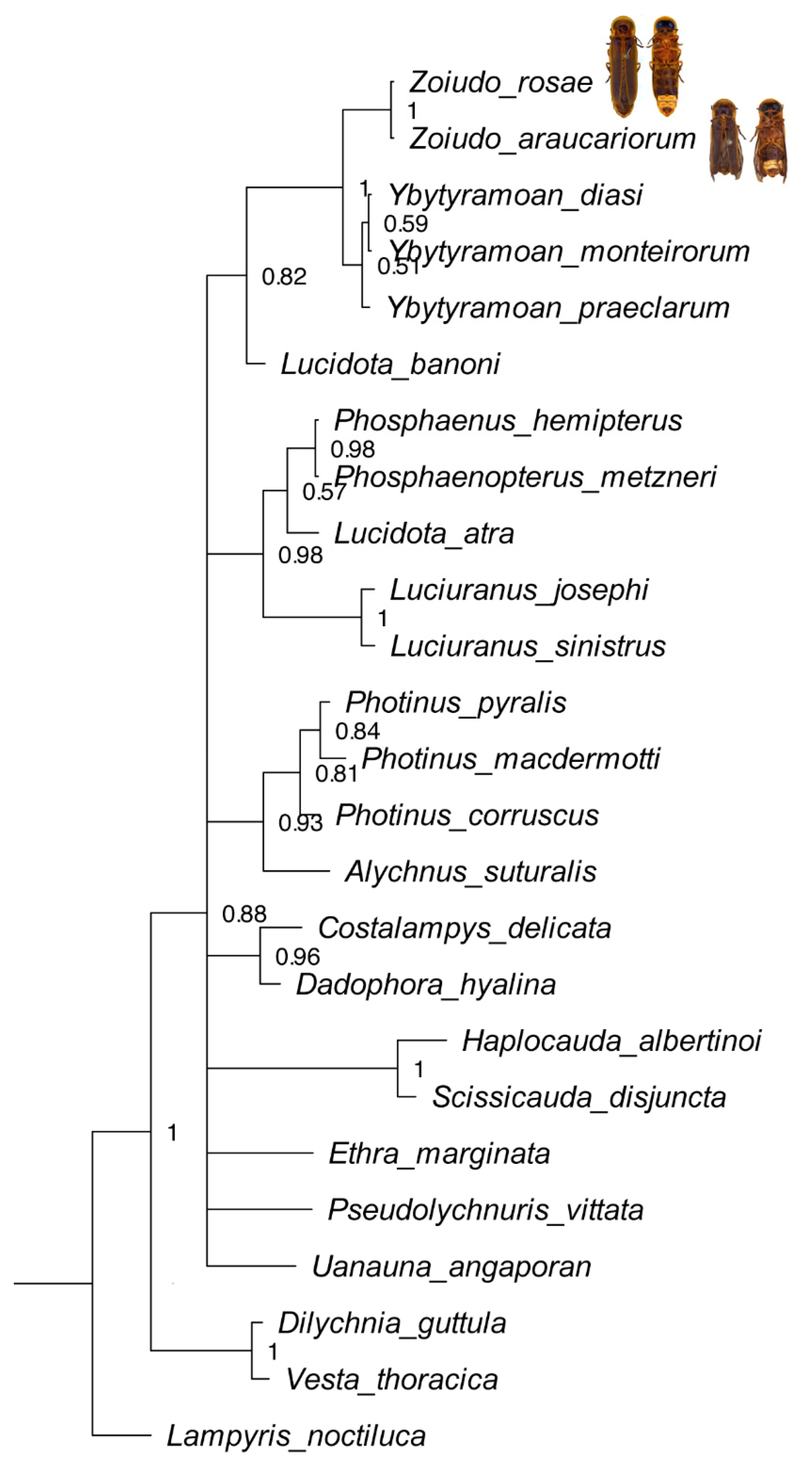 Diversity 14 01005 g001 Diversity 14 01005 g001