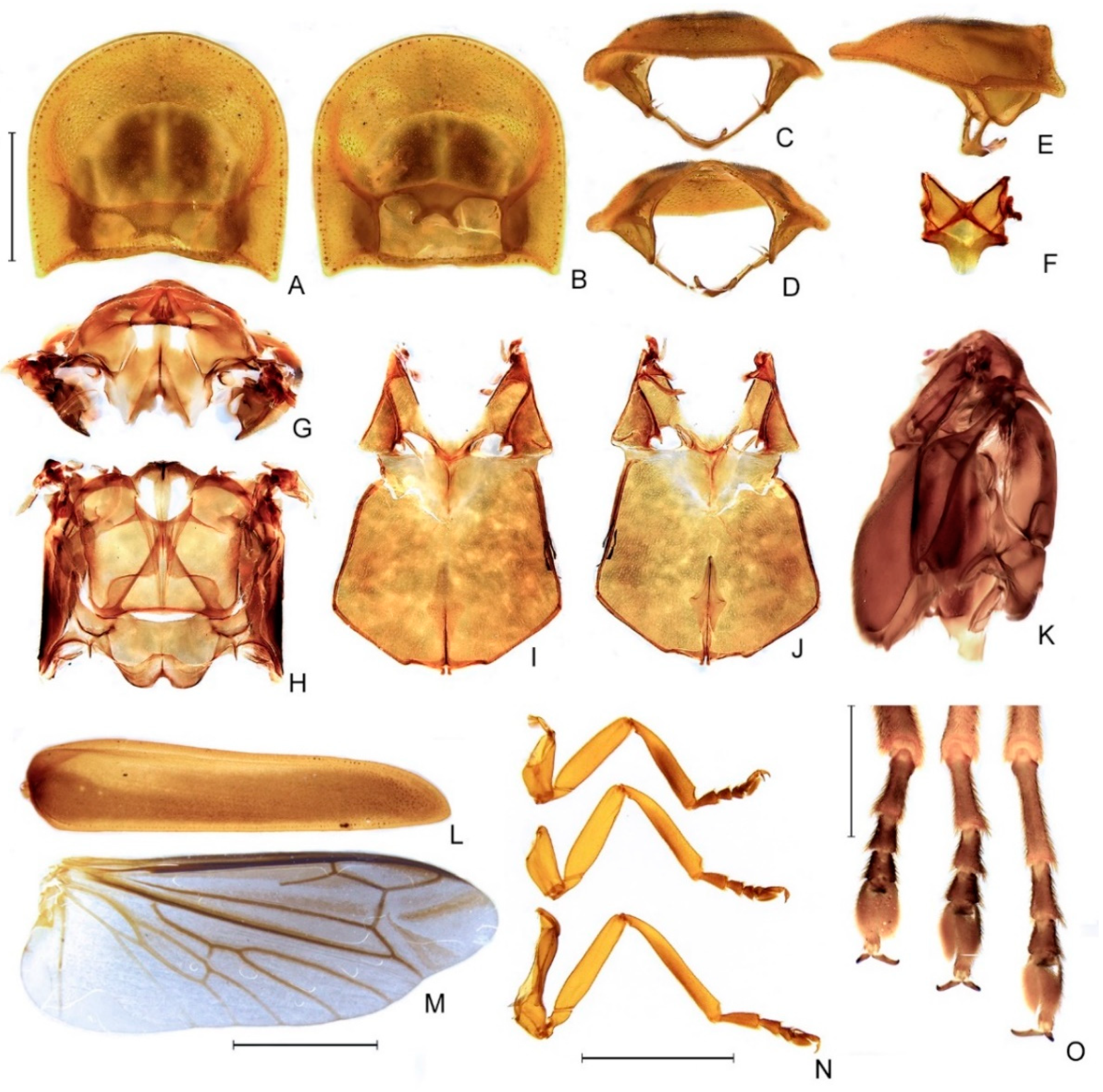 Diversity 14 01005 g005 Diversity 14 01005 g005