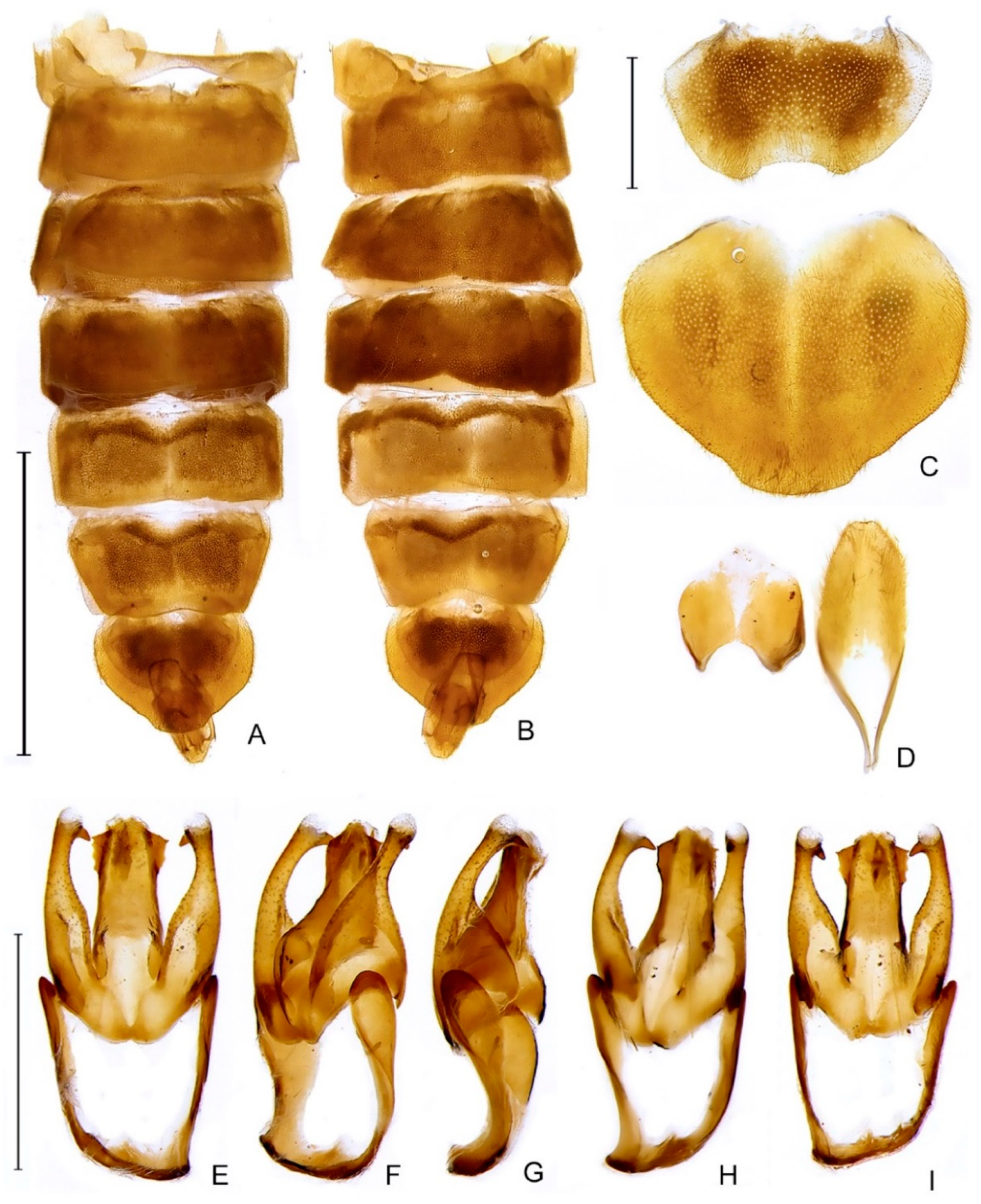 Diversity 14 01005 g009 Diversity 14 01005 g009