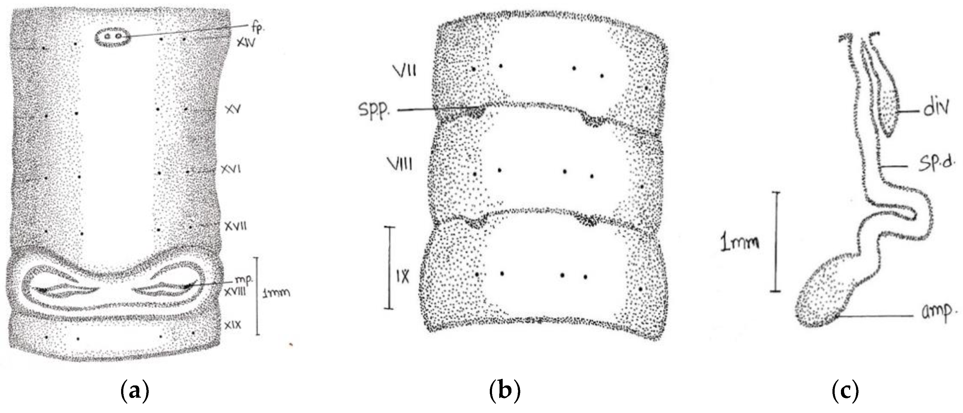 Diversity 14 01006 g002