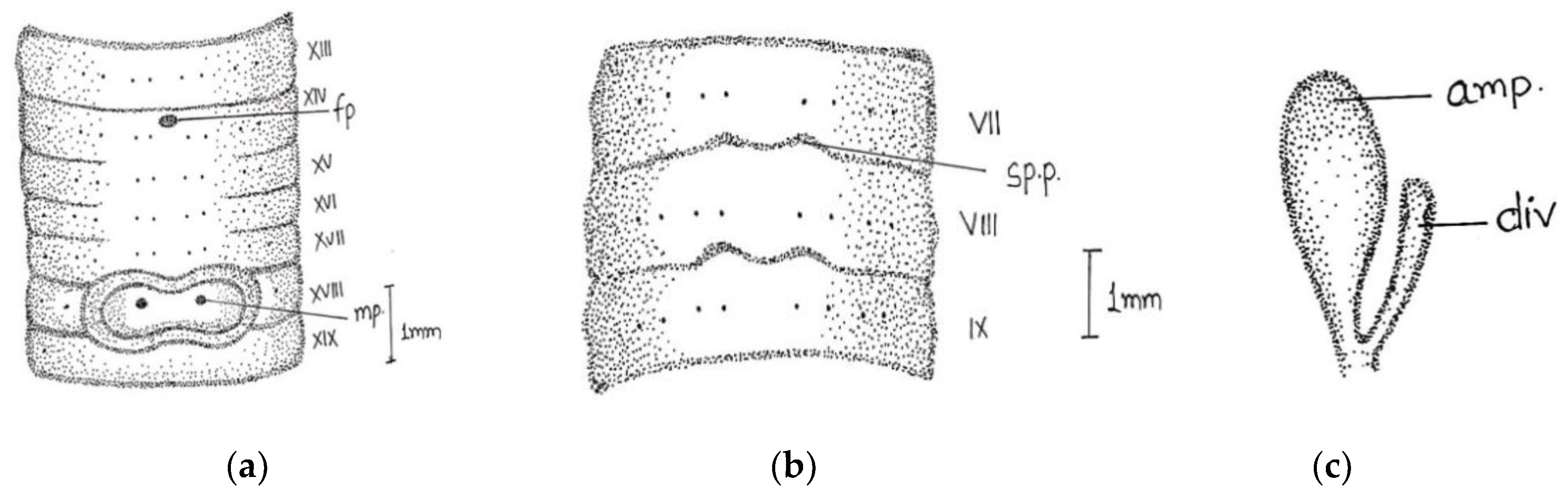 Diversity 14 01006 g004