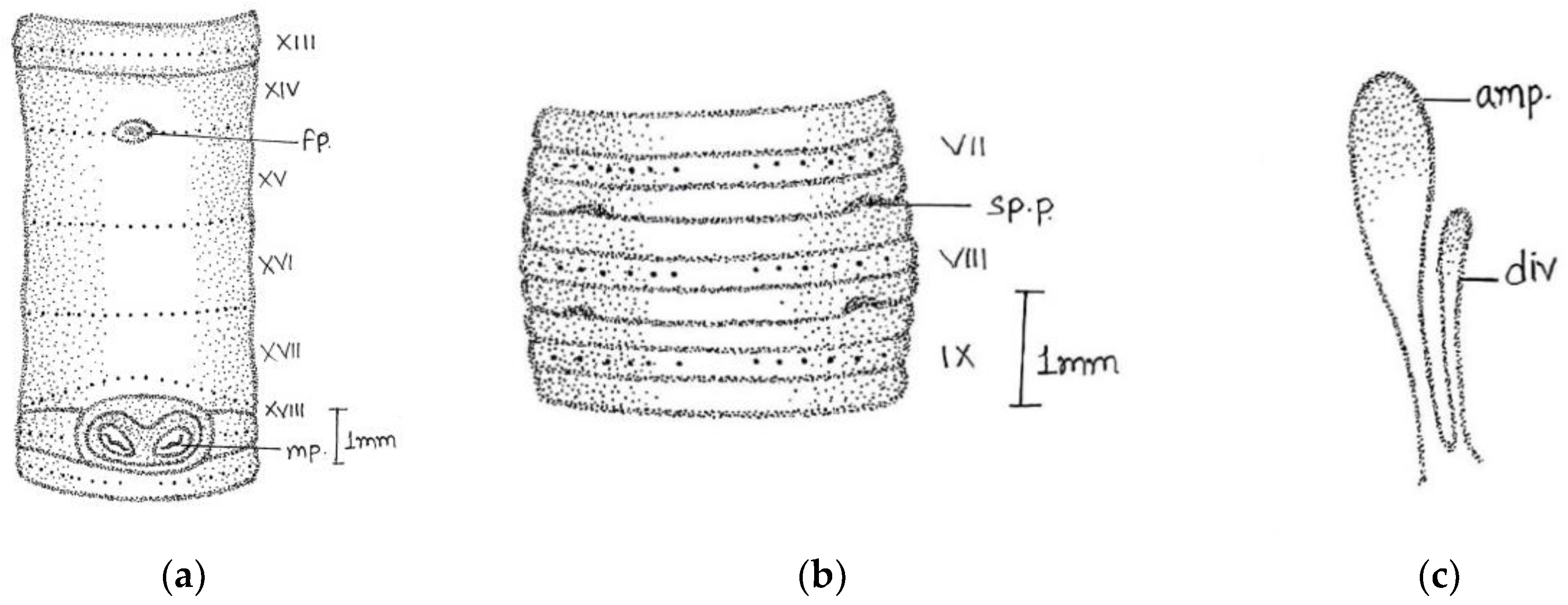 Diversity 14 01006 g005