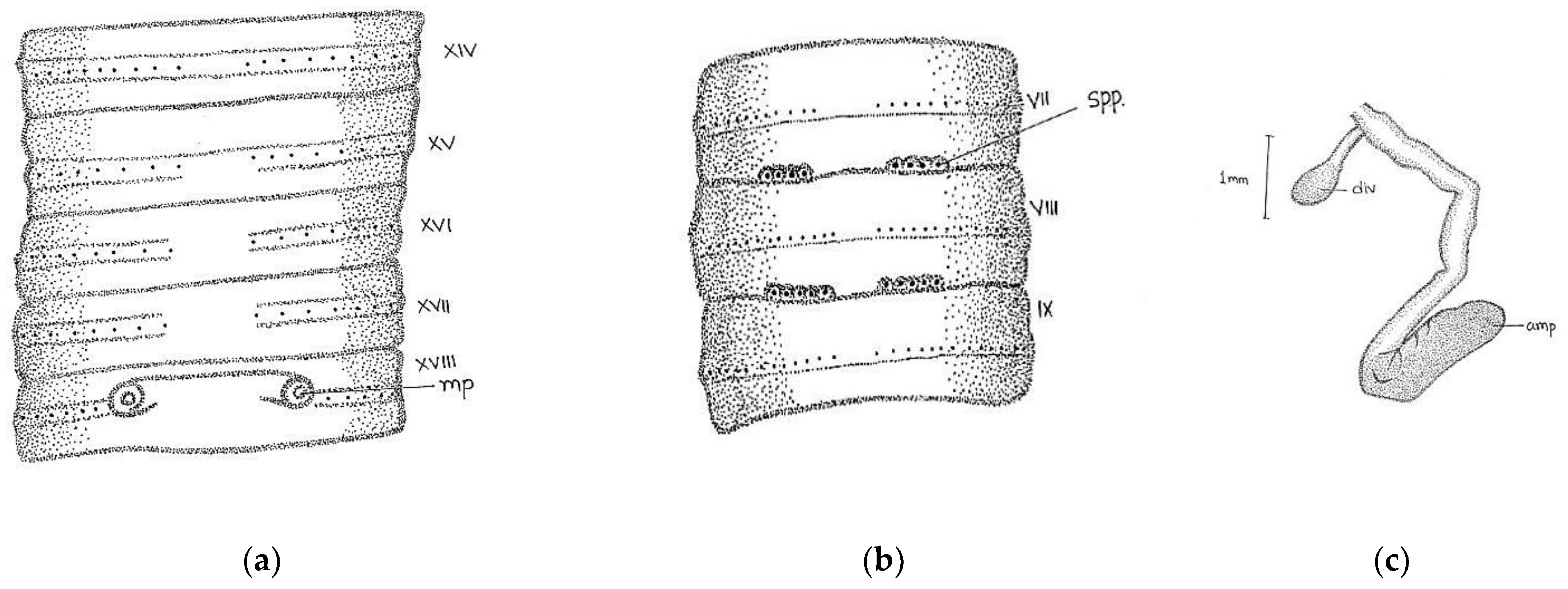 Diversity 14 01006 g007