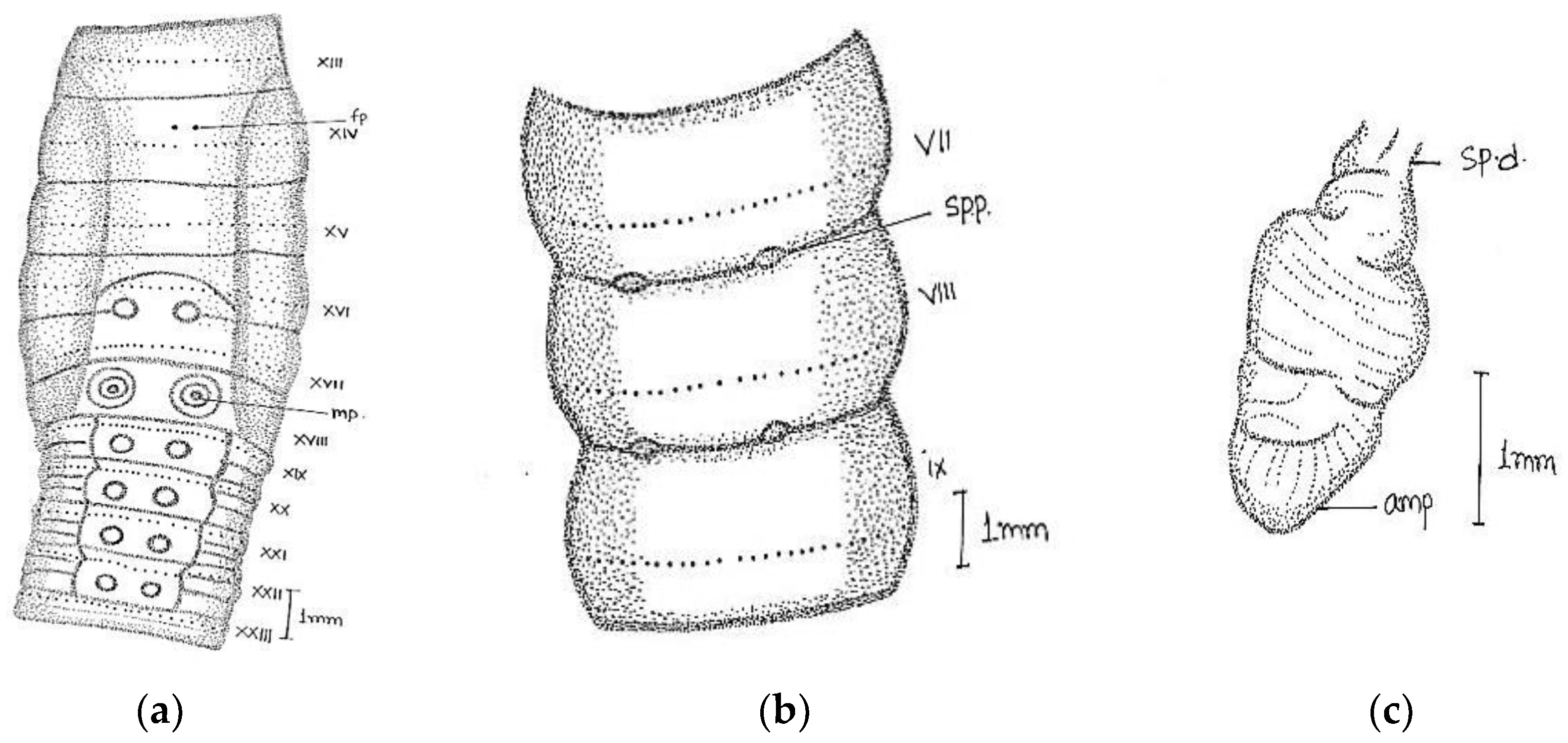Diversity 14 01006 g008