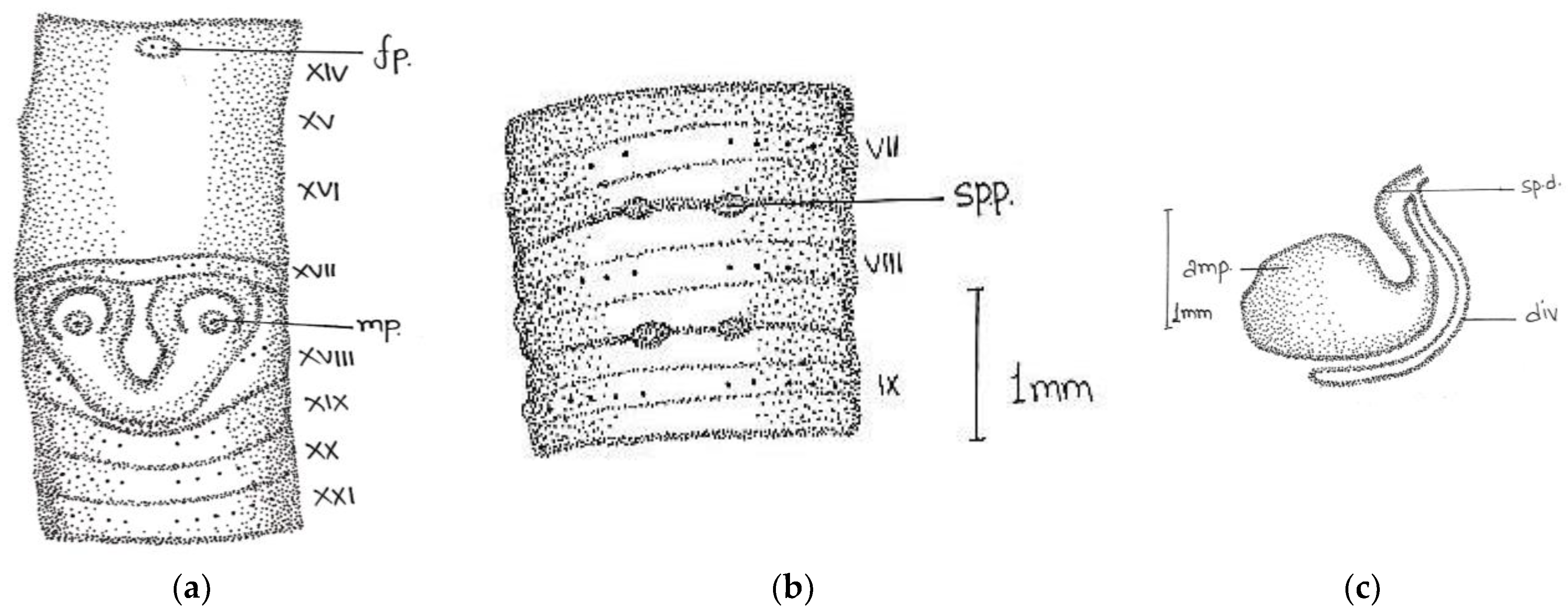Diversity 14 01006 g010