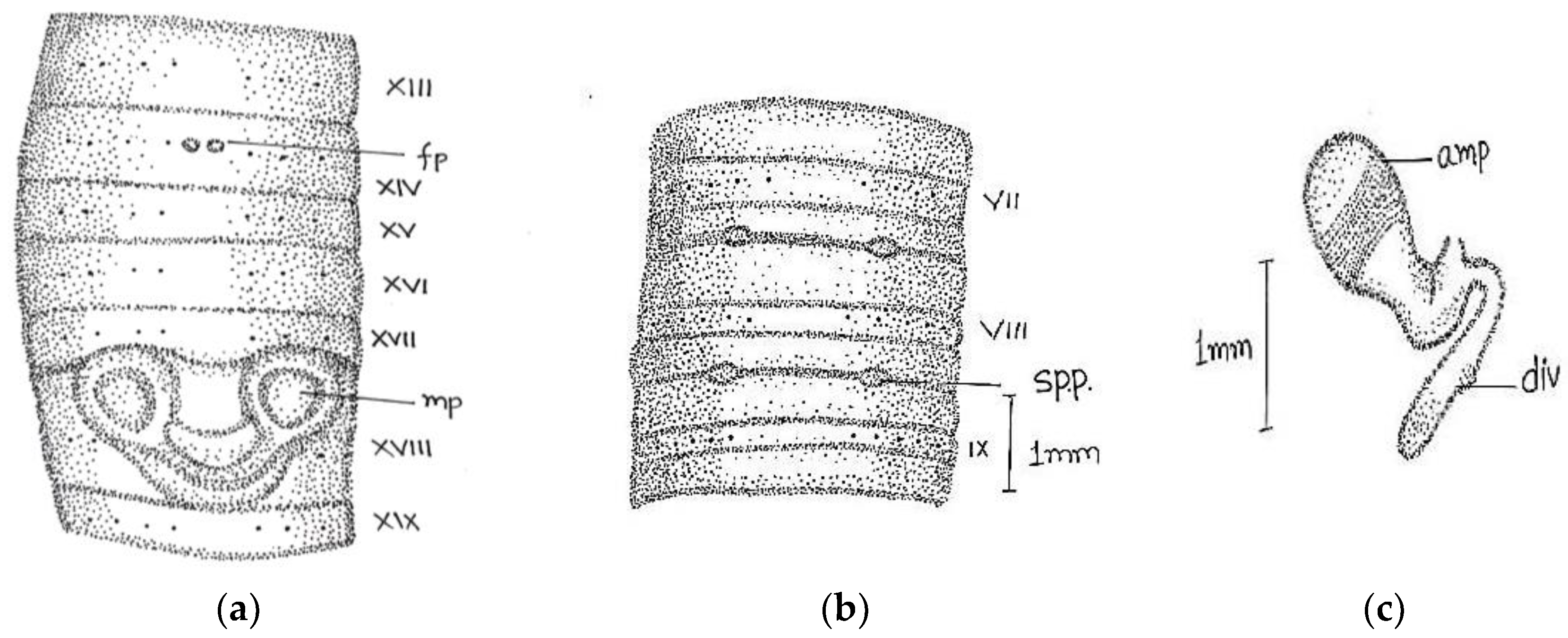 Diversity 14 01006 g012