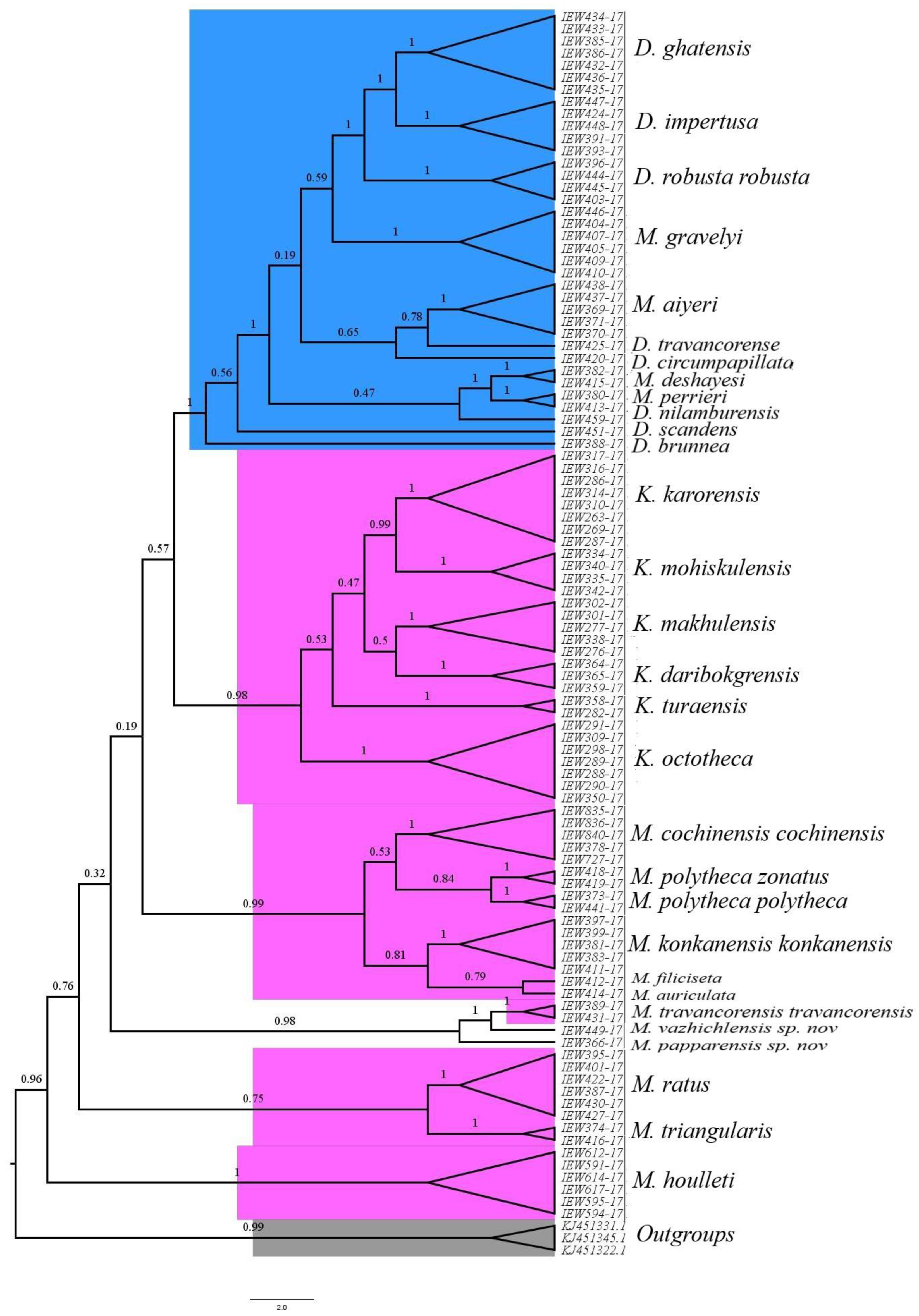 Diversity 14 01006 g014