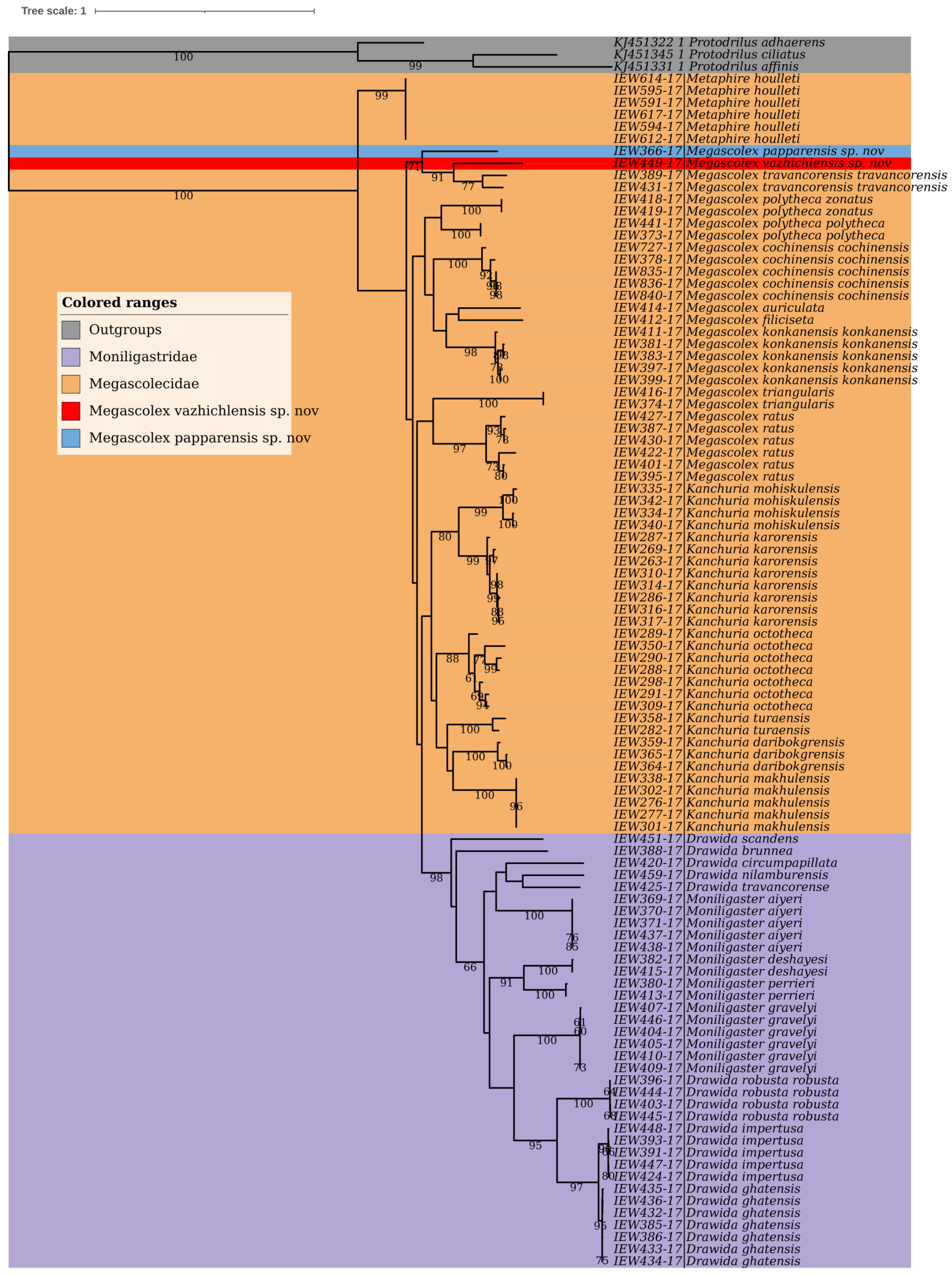 Diversity 14 01006 g015