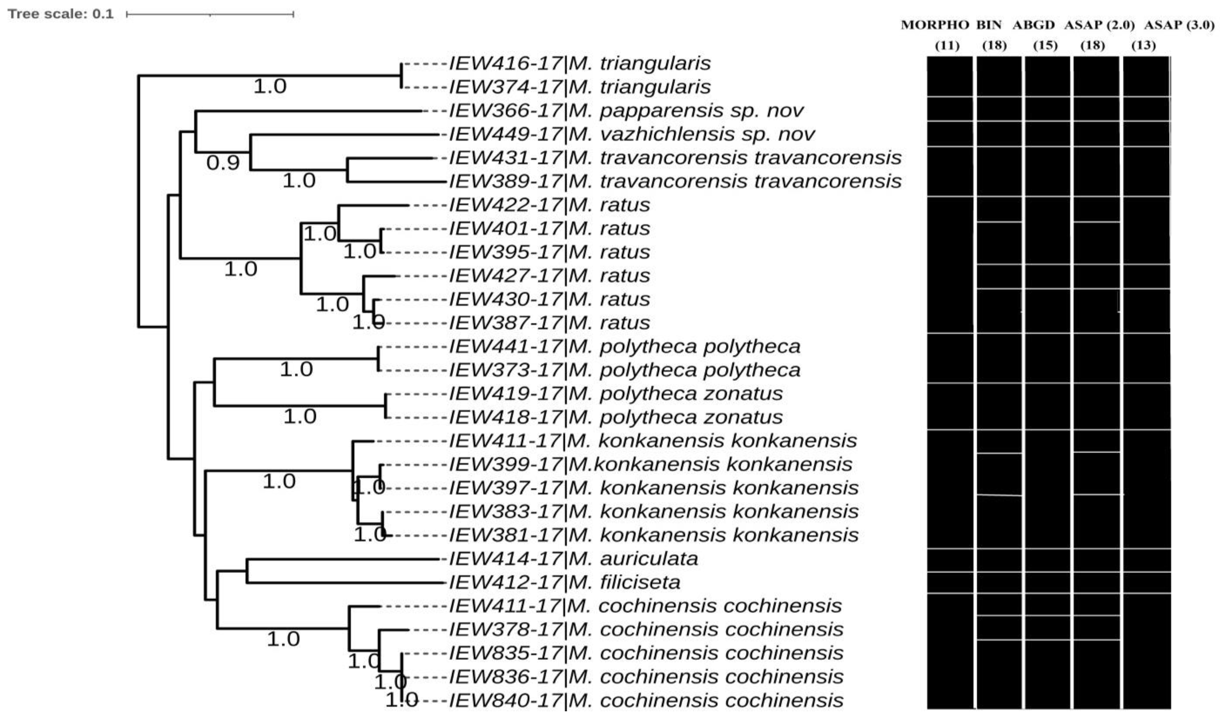 Diversity 14 01006 g016