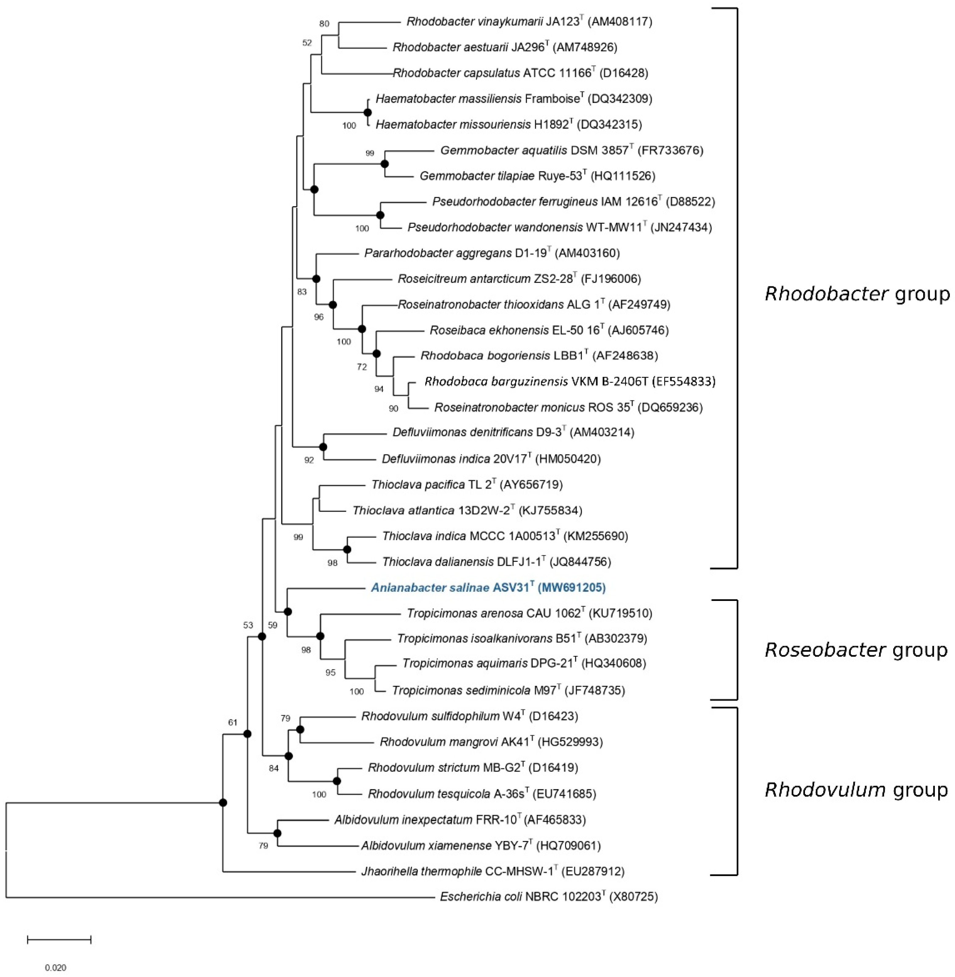 Diversity 14 01009 g001 Diversity 14 01009 g001