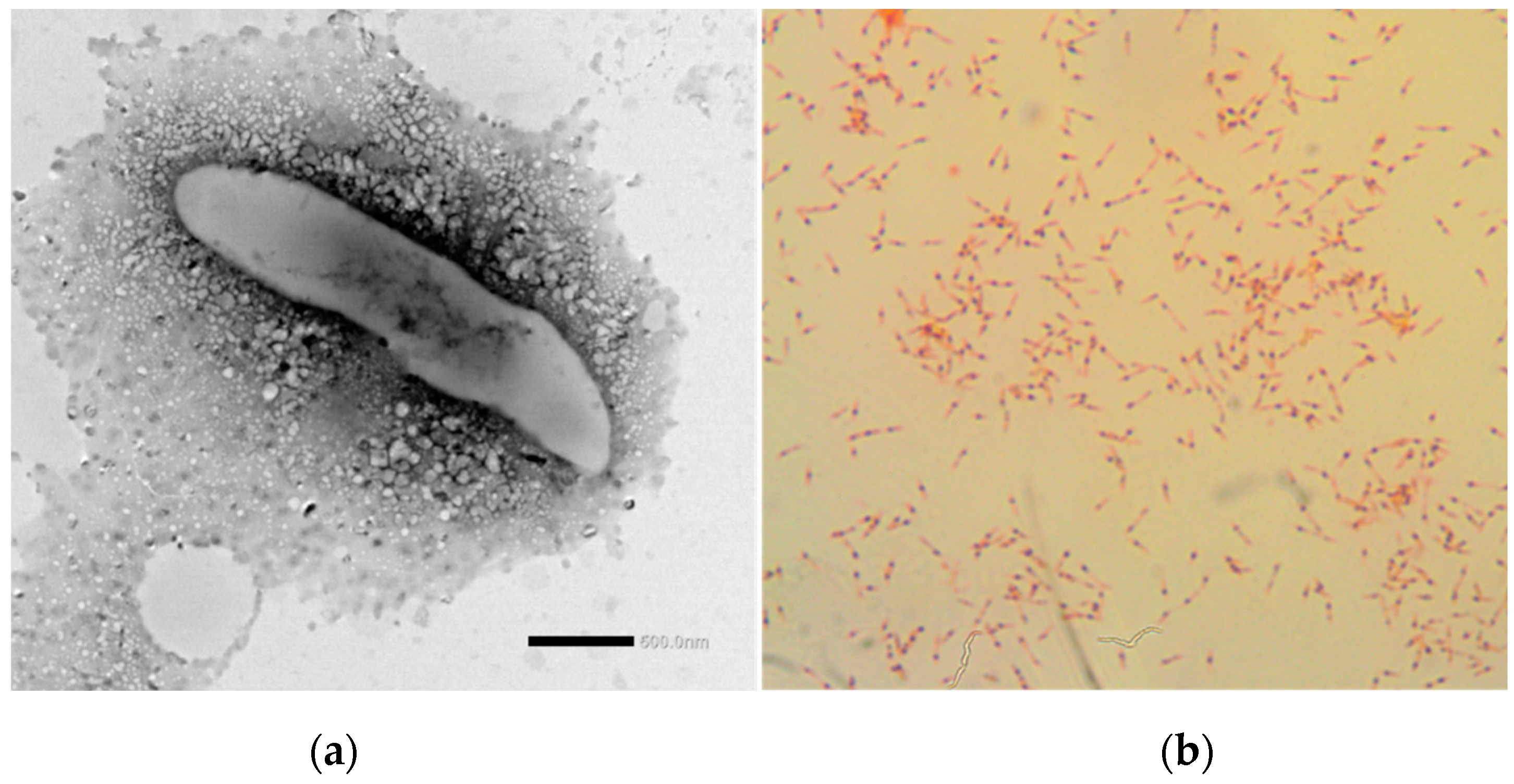 Diversity 14 01009 g002 Diversity 14 01009 g002