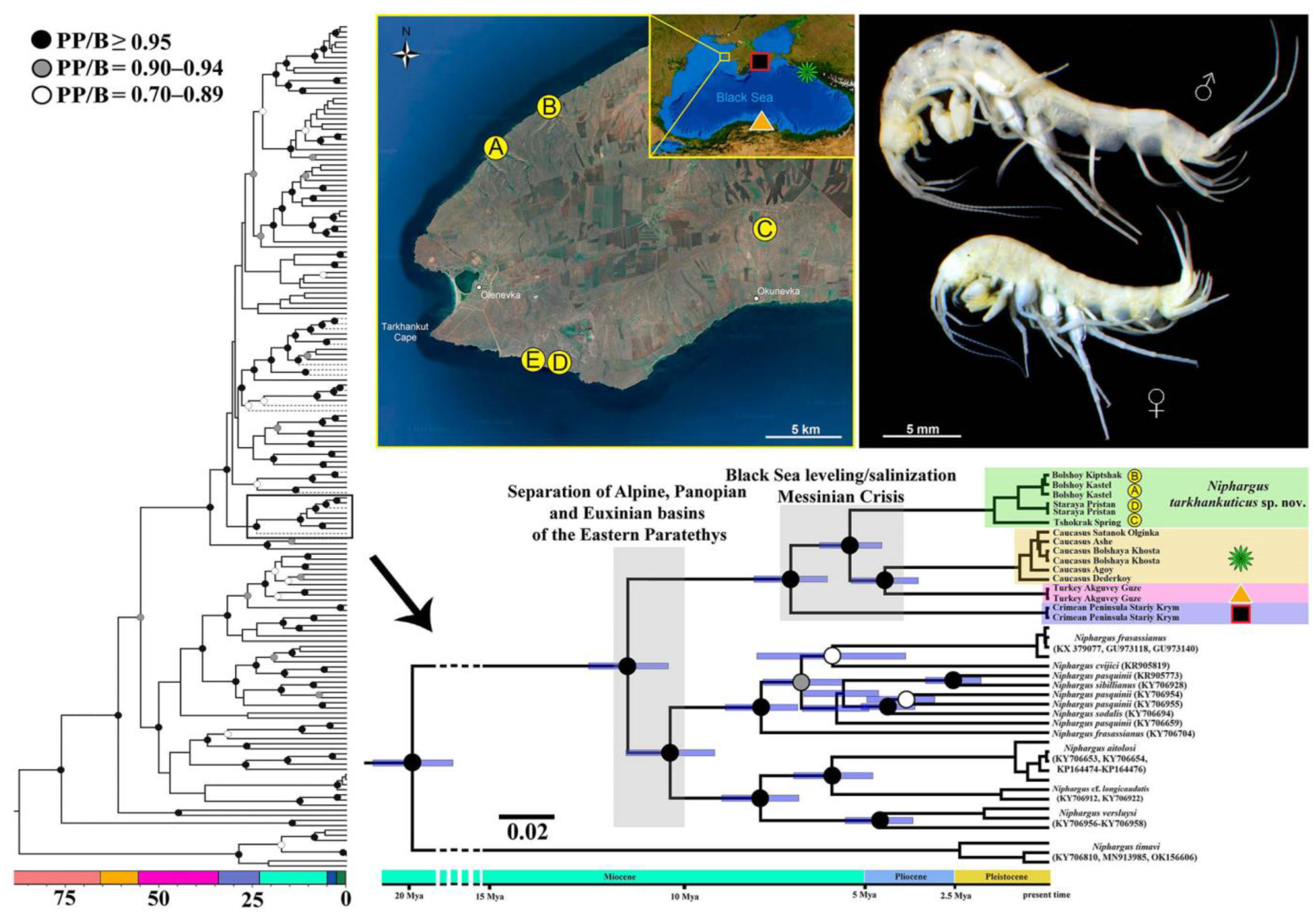 Diversity 14 01010 g001 Diversity 14 01010 g001